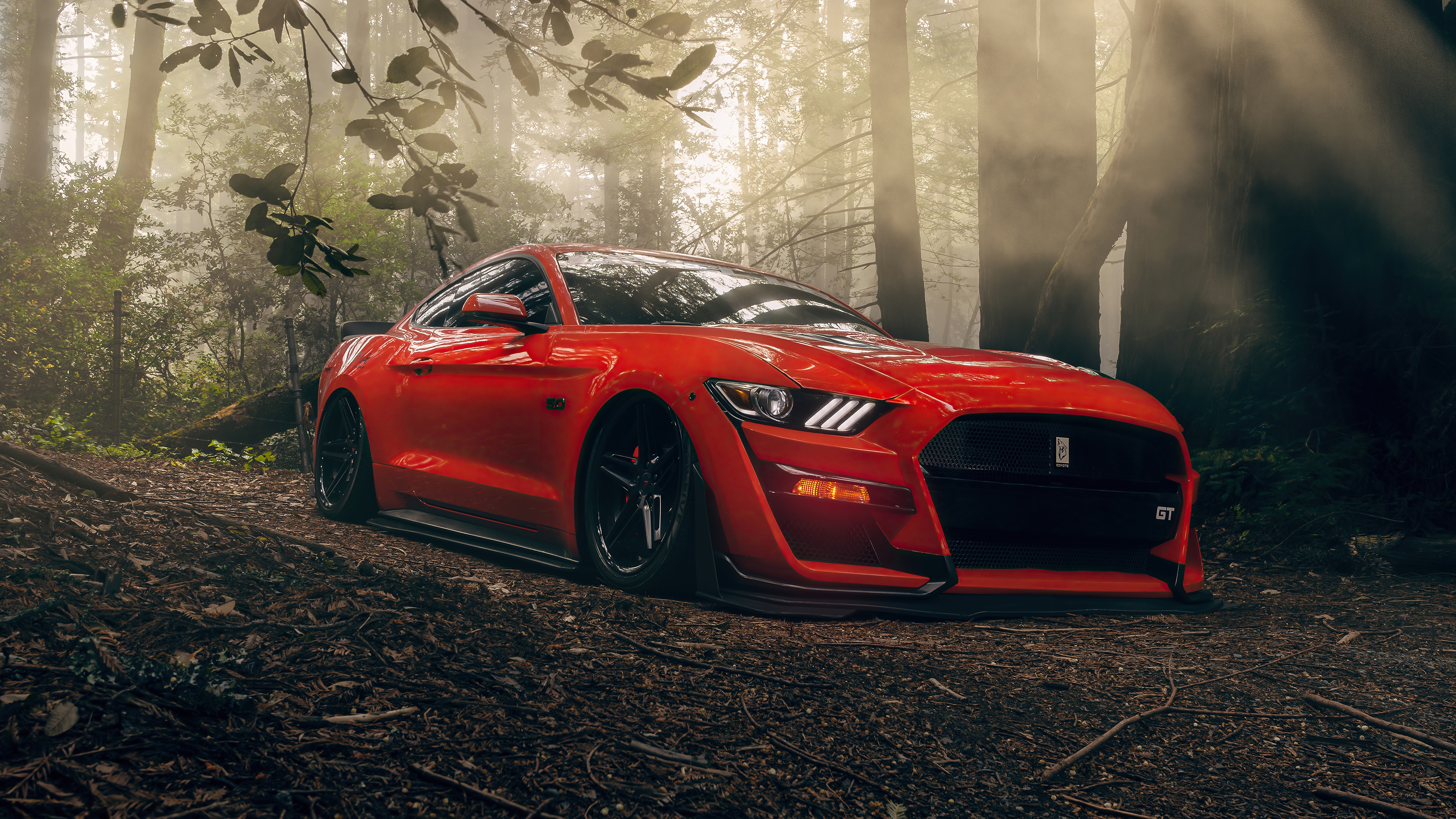 Red Ford Mustang GT 4K in Forest HD Wallpaper