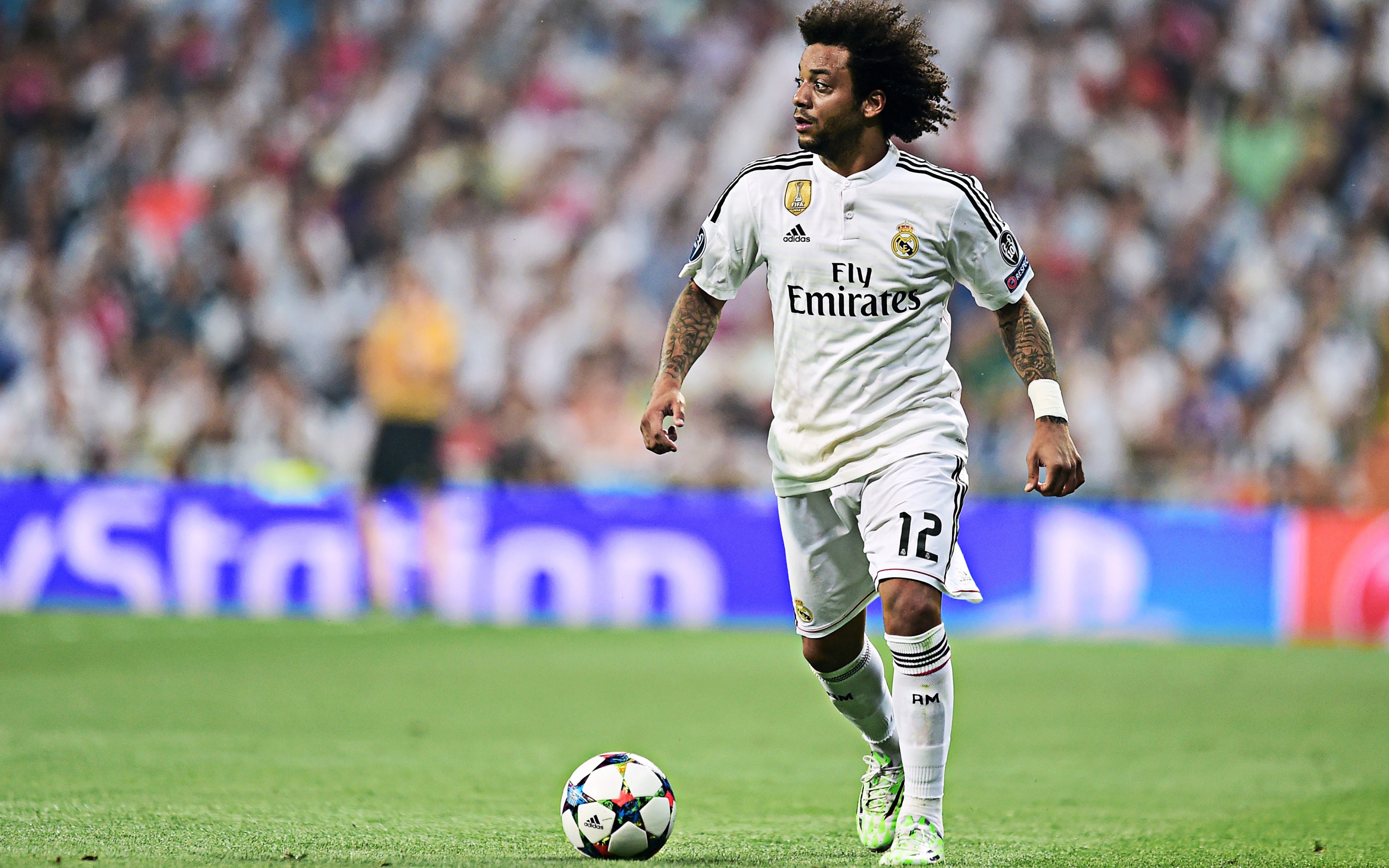 Marcelo Vieira HD HD Wallpaper Rare Gallery Marcelo Vieira HD HD Wallpaper Rare Gallery