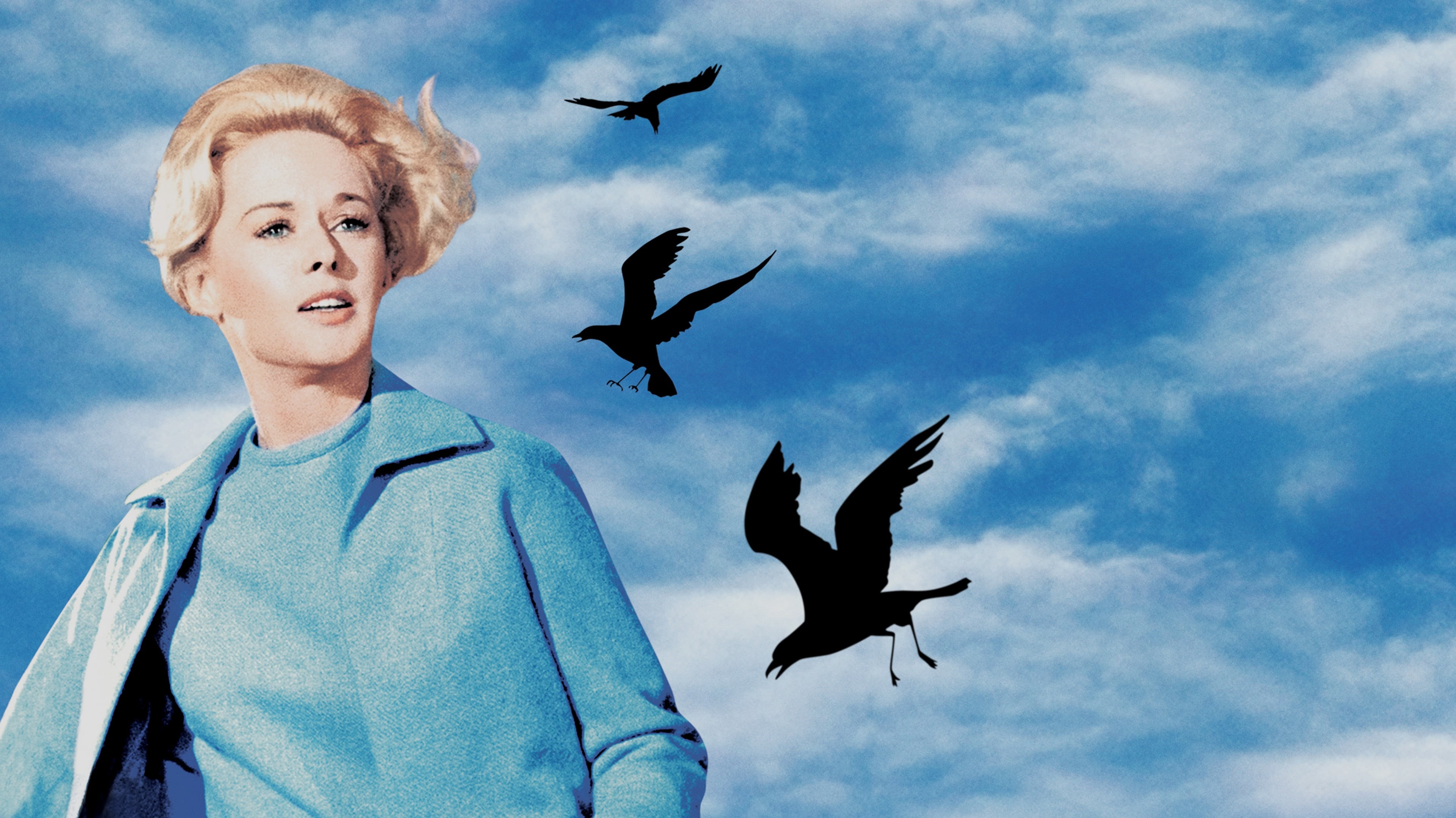 Tippi Hedren in The Birds 4K HD Wallpaper