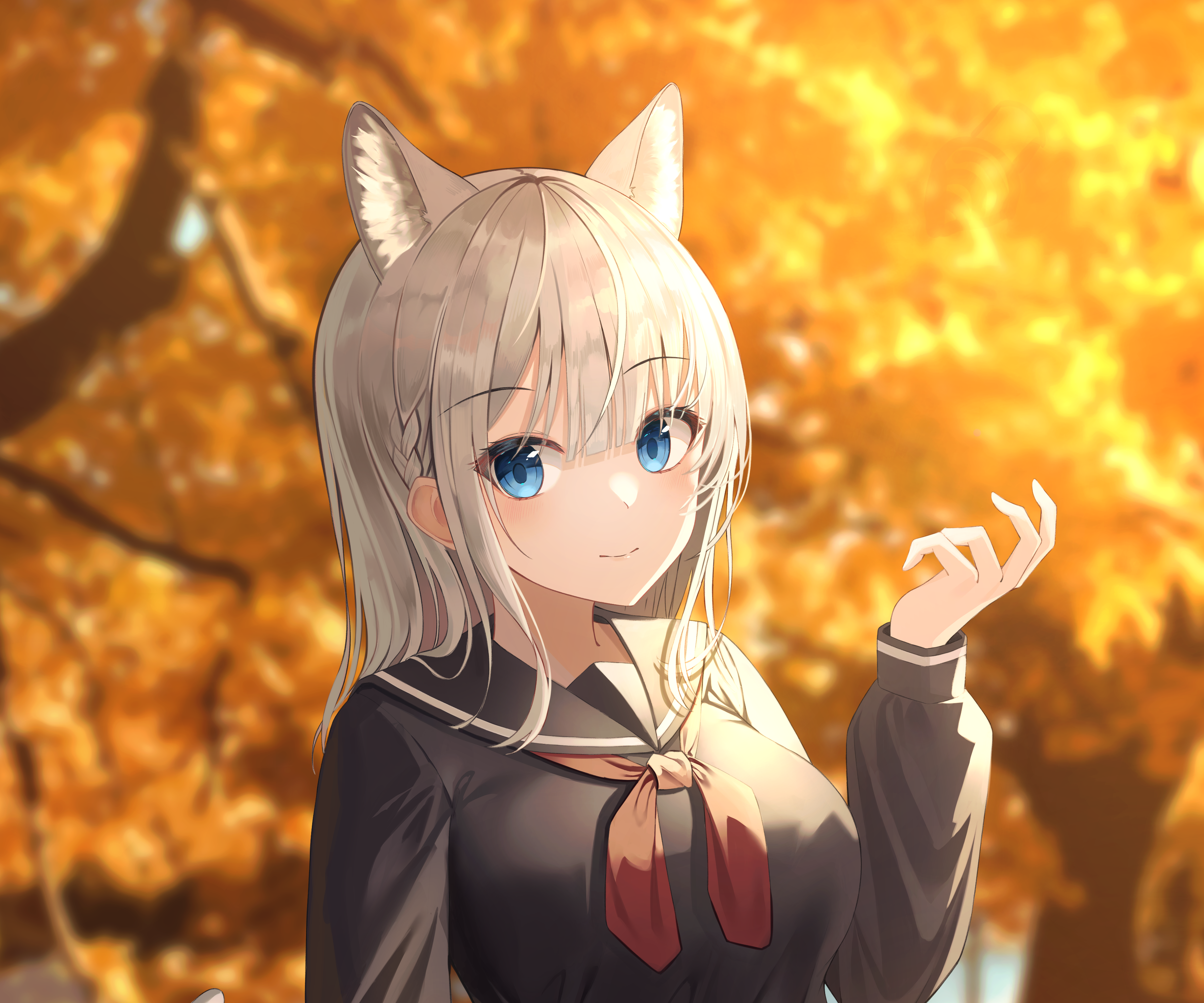 Anime Girl with Cat Ears and Blue Eyes HD Wallpaper