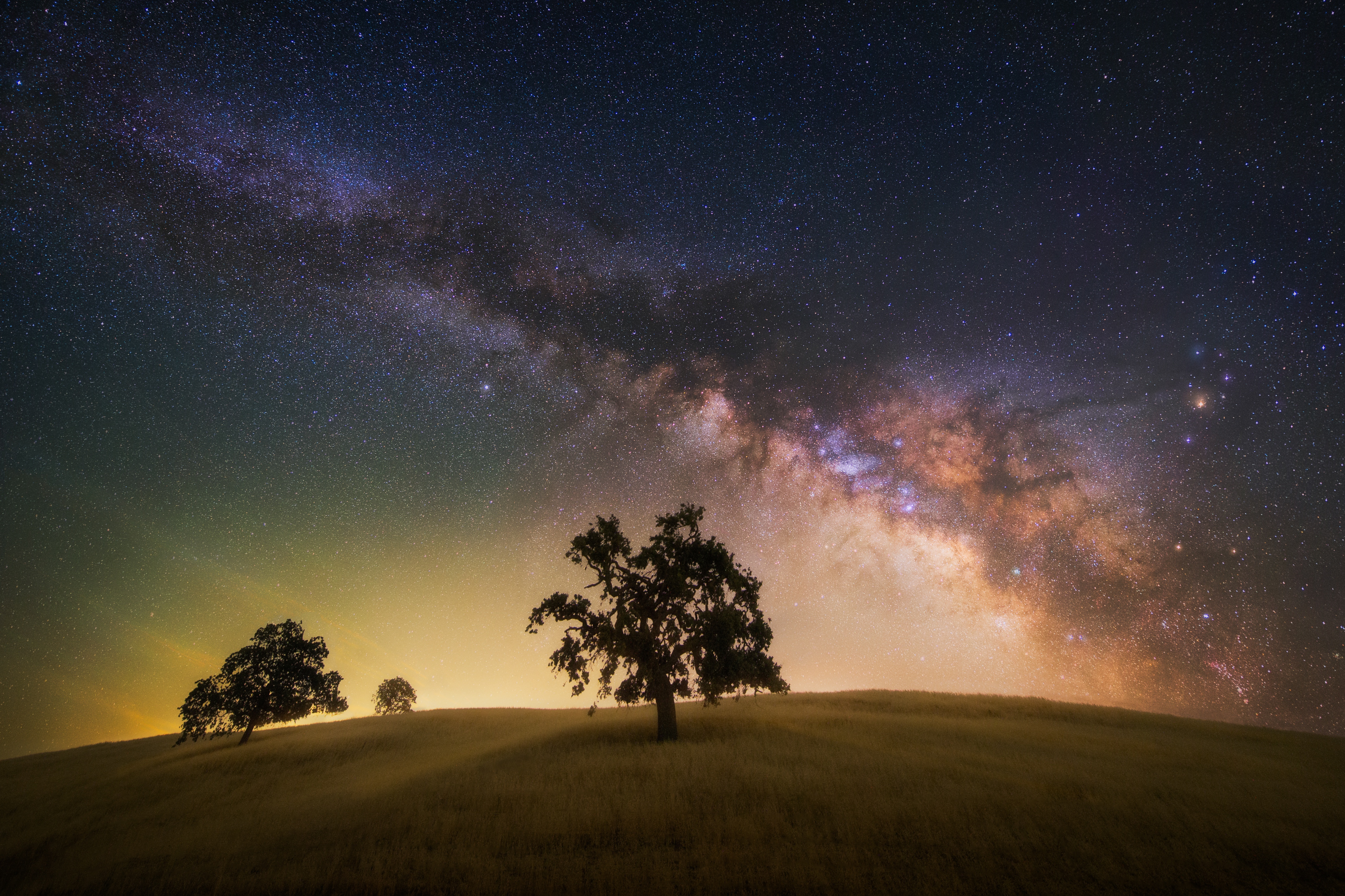 Milky Way over grassy hill with trees HD Wallpaper