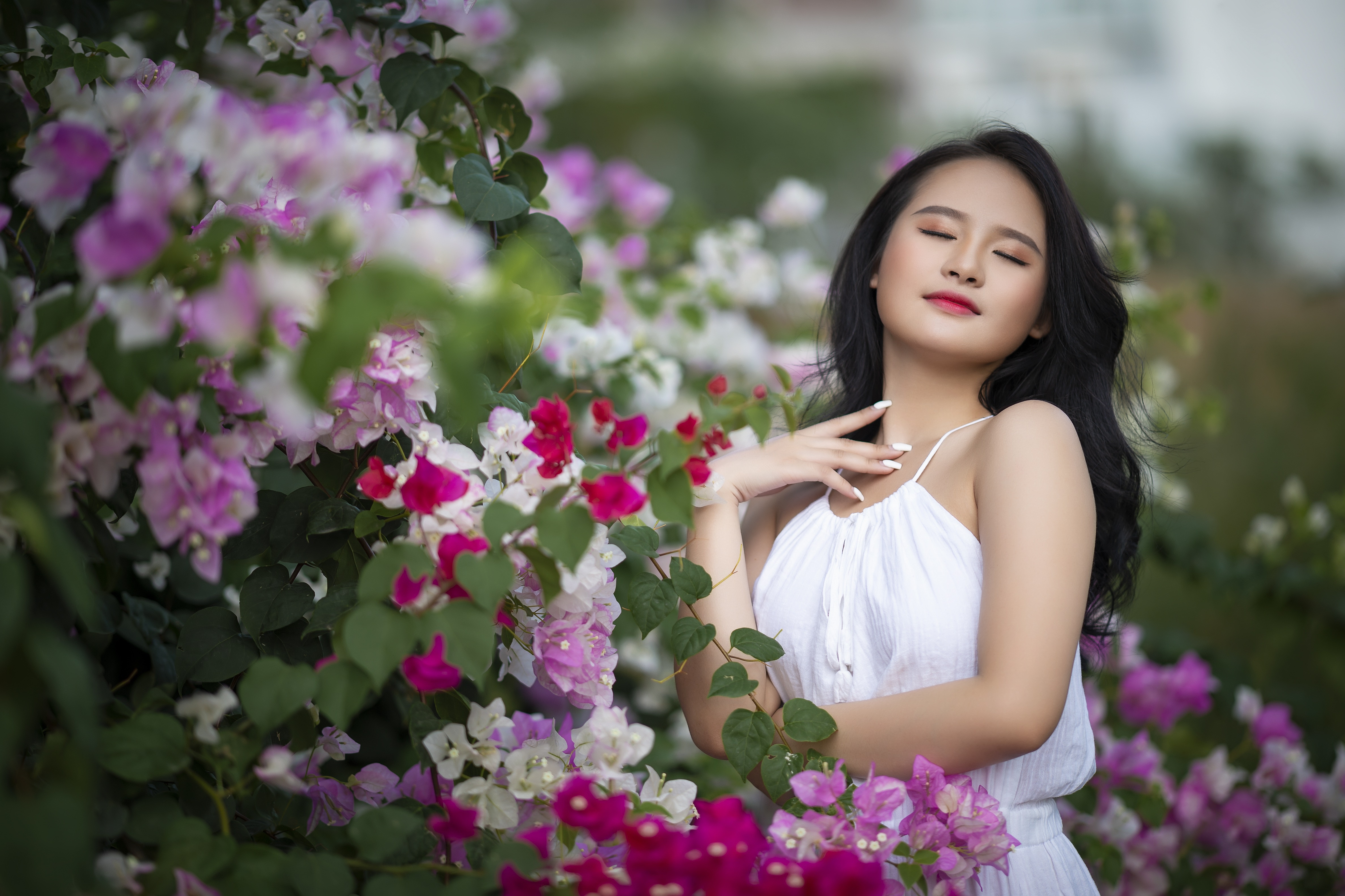 Asian woman in white dress among bougainvillea flowers HD Wallpaper