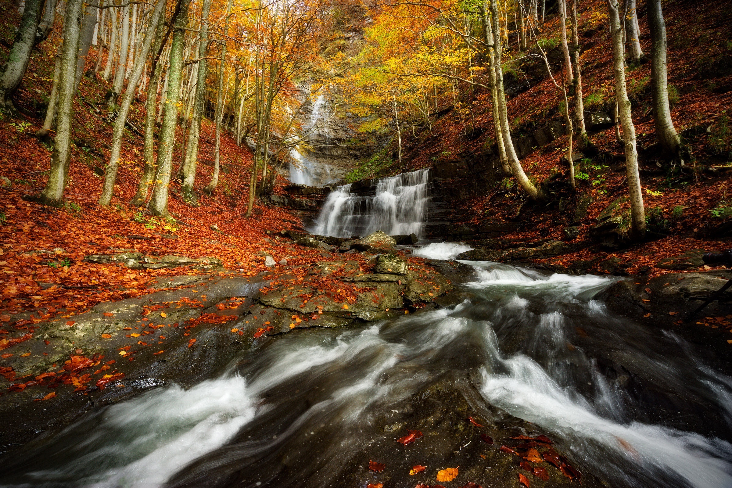 Waterfall in an autumn forest with fallen leaves HD Wallpaper