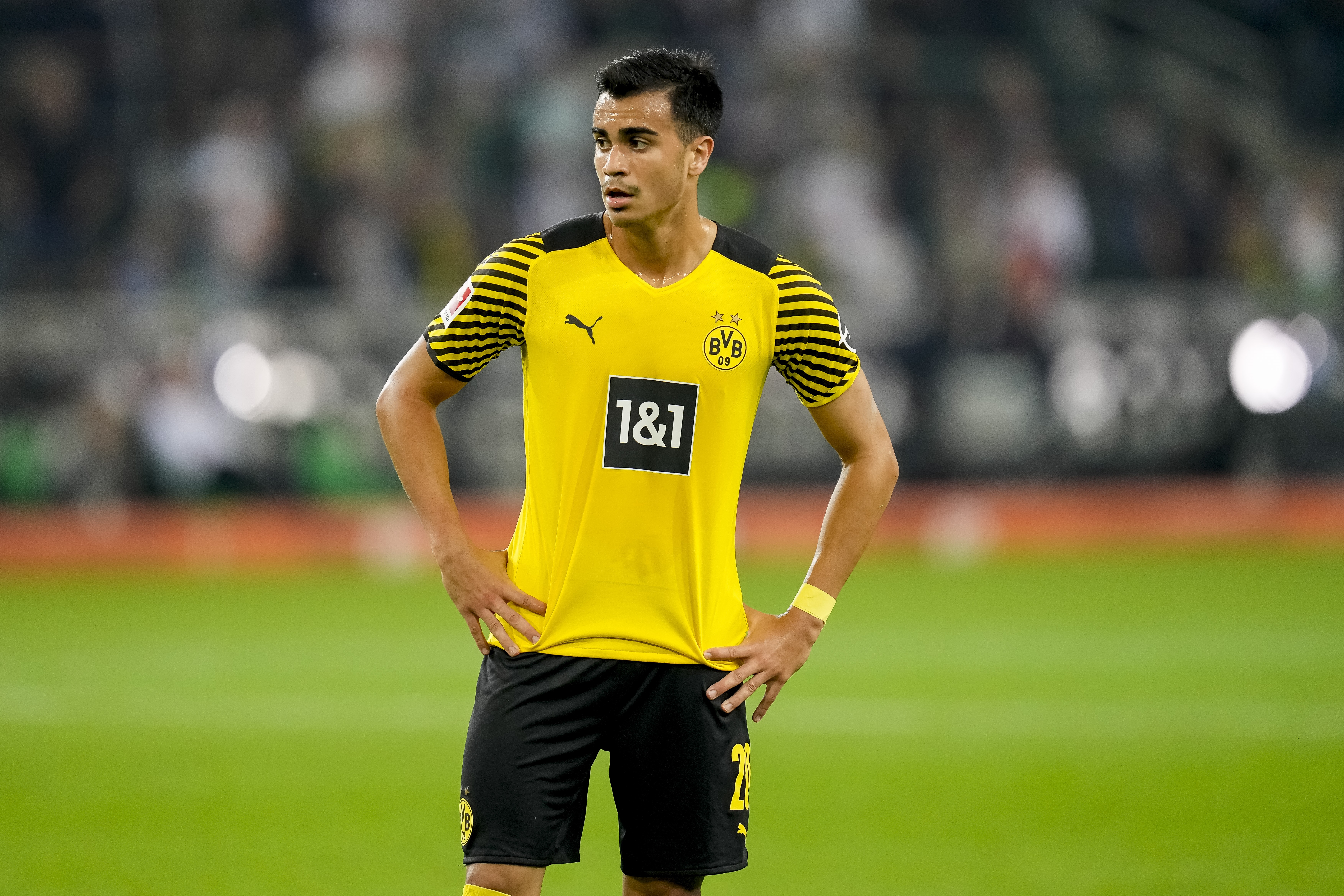 Reinier Jesus of Borussia Dortmund HD Wallpaper
