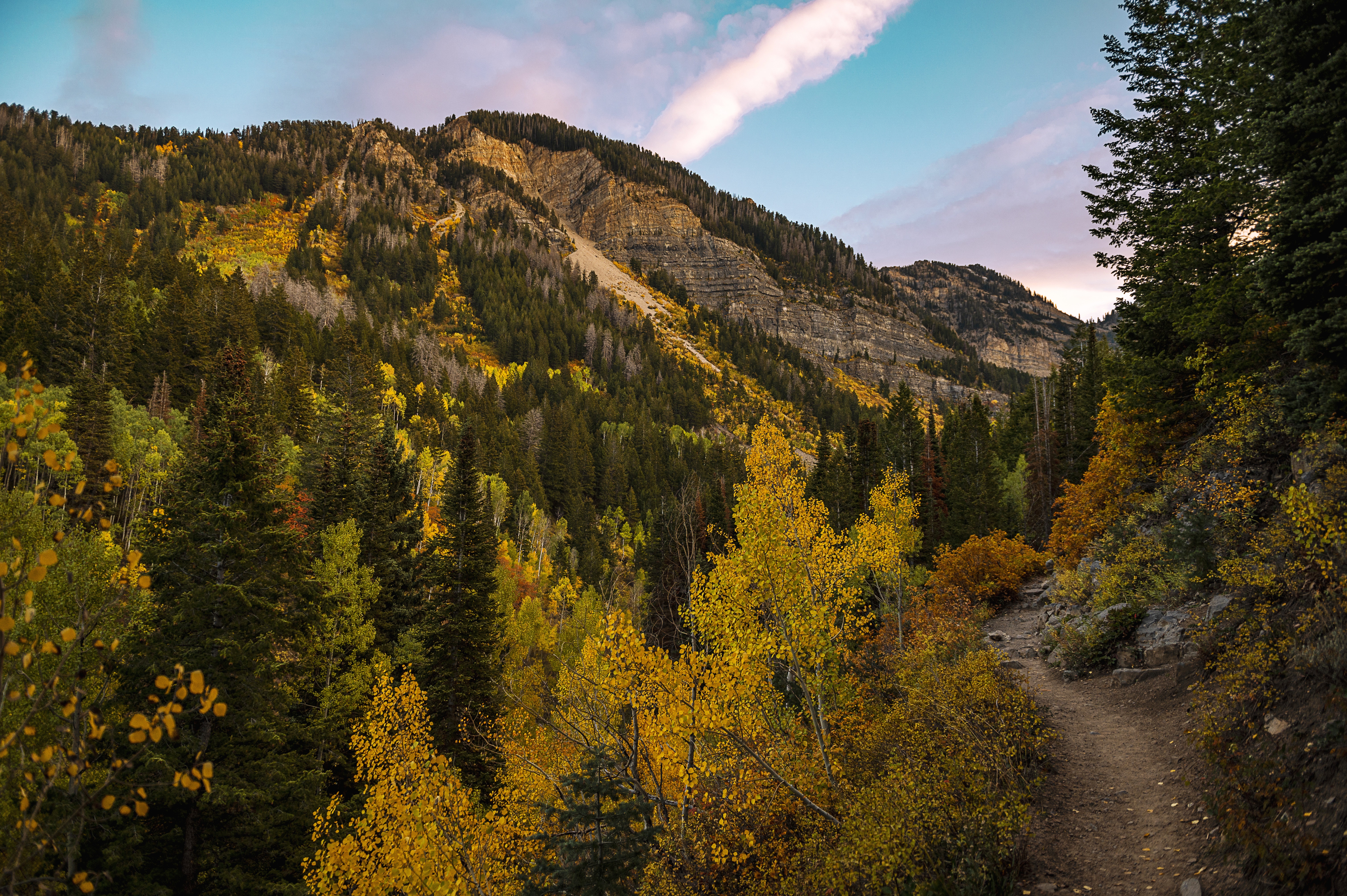 Timpooneke Trail in Utah during Autumn HD Wallpaper
