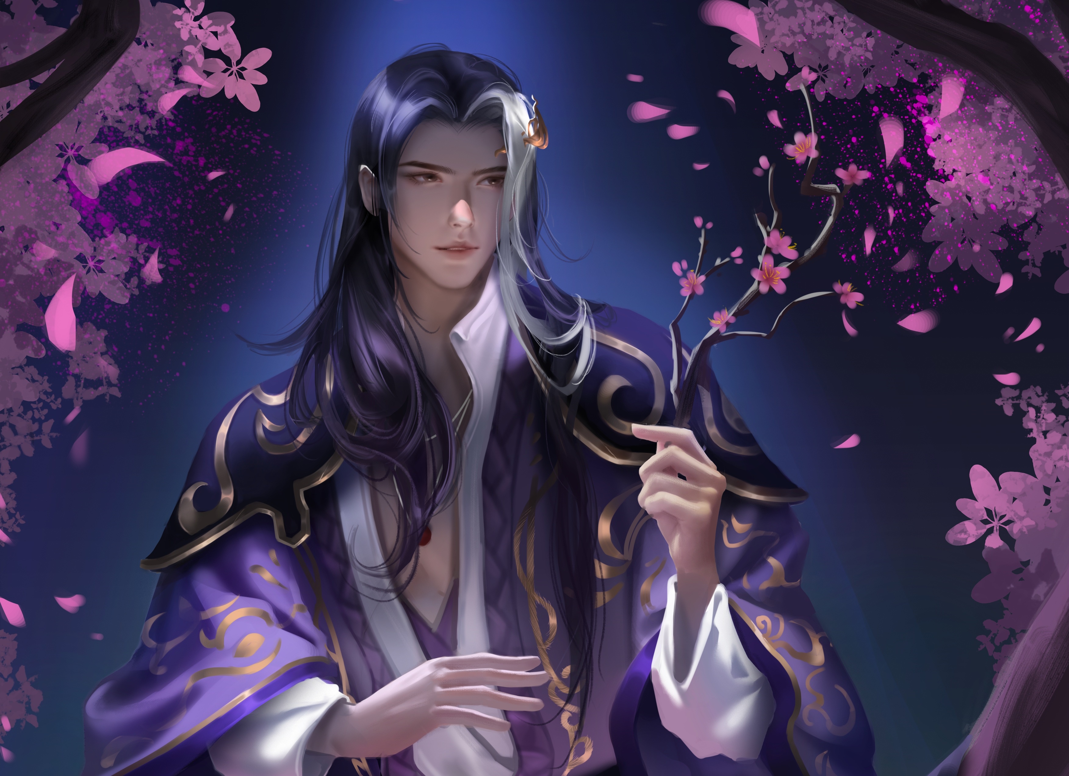 Man with long dark hair and purple robe HD Wallpaper