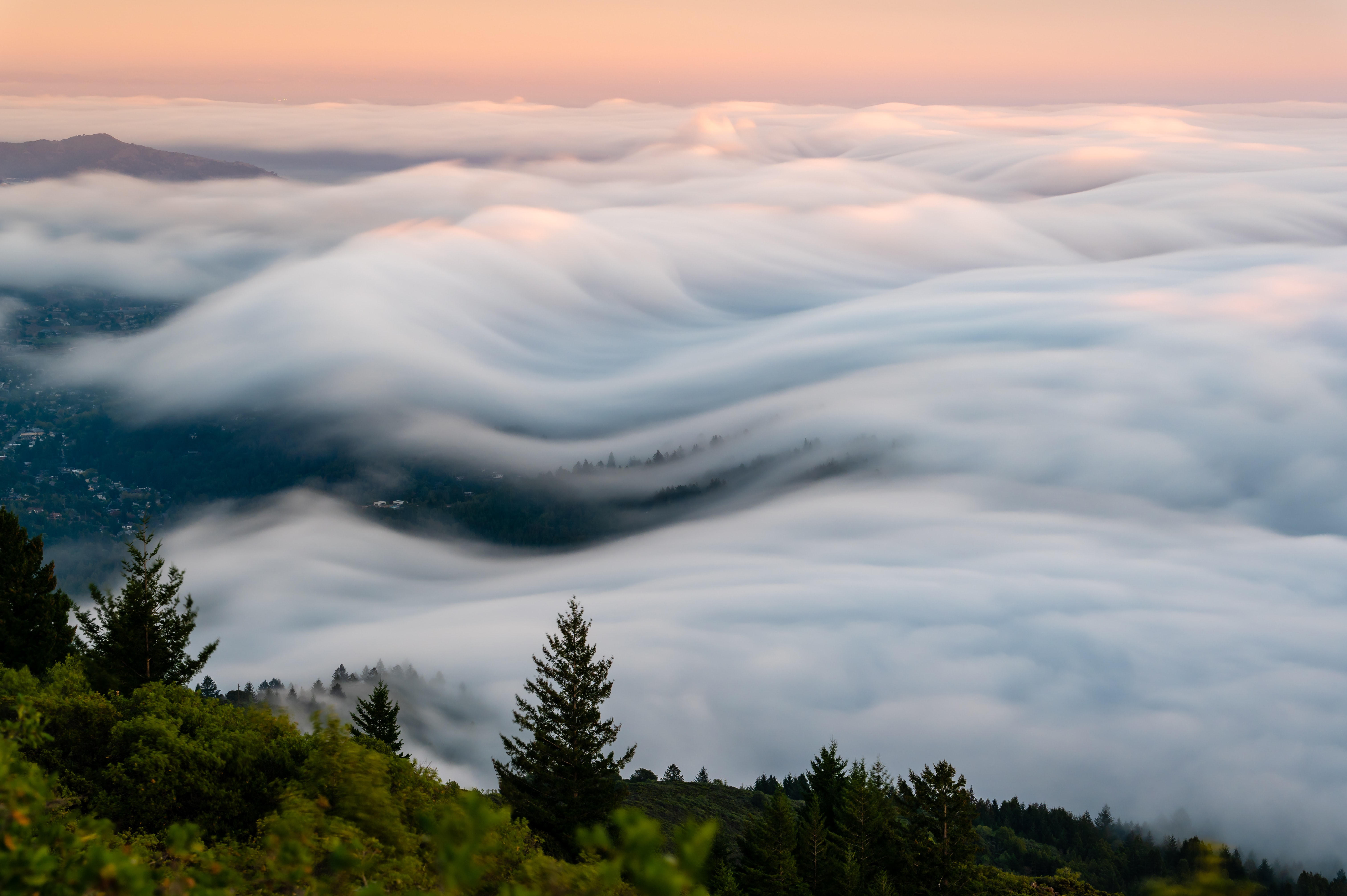 Mount Tamalpais Fog Waves by Zetong Li HD Wallpaper