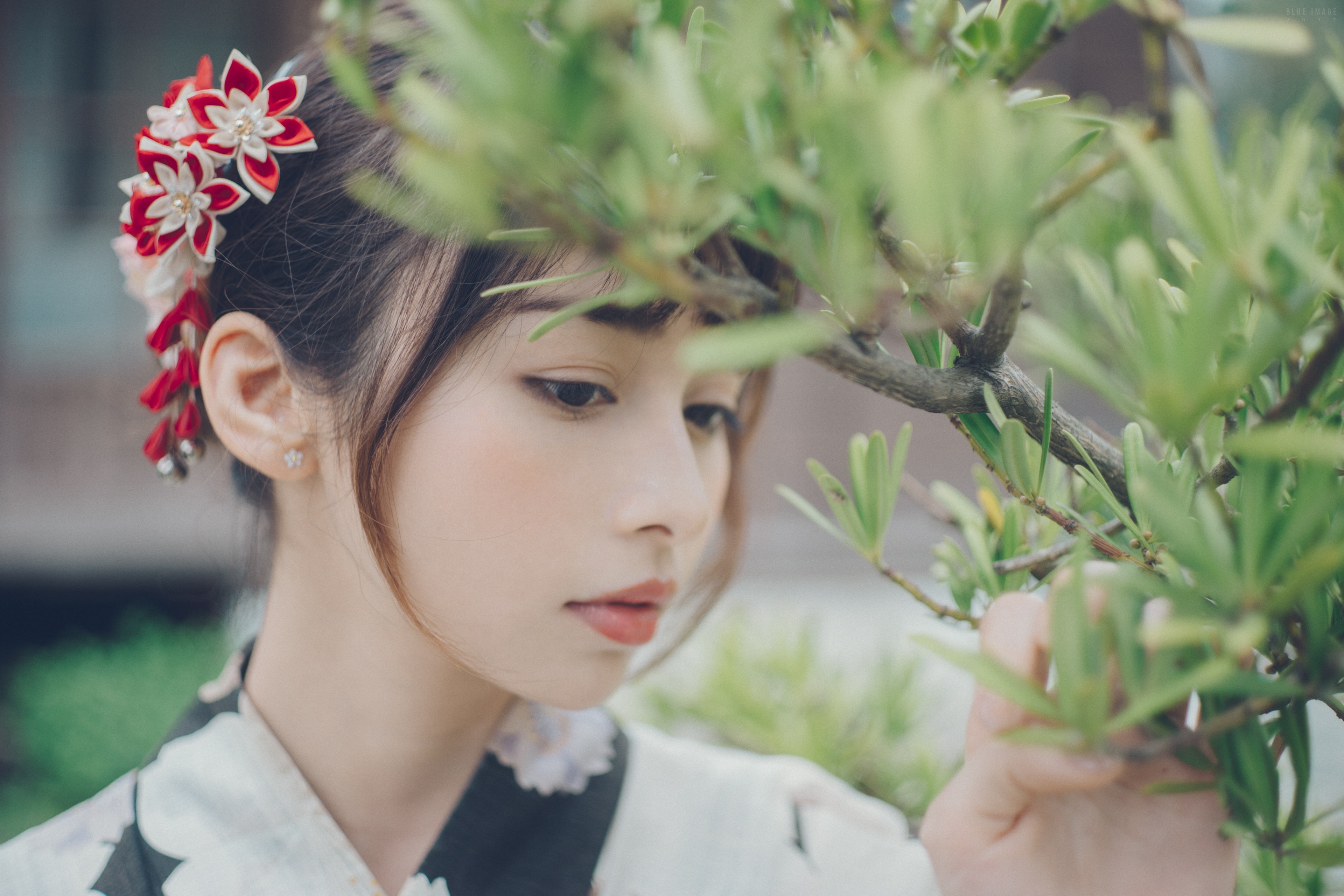 Asian woman in kimono with flowers in hair HD Wallpaper