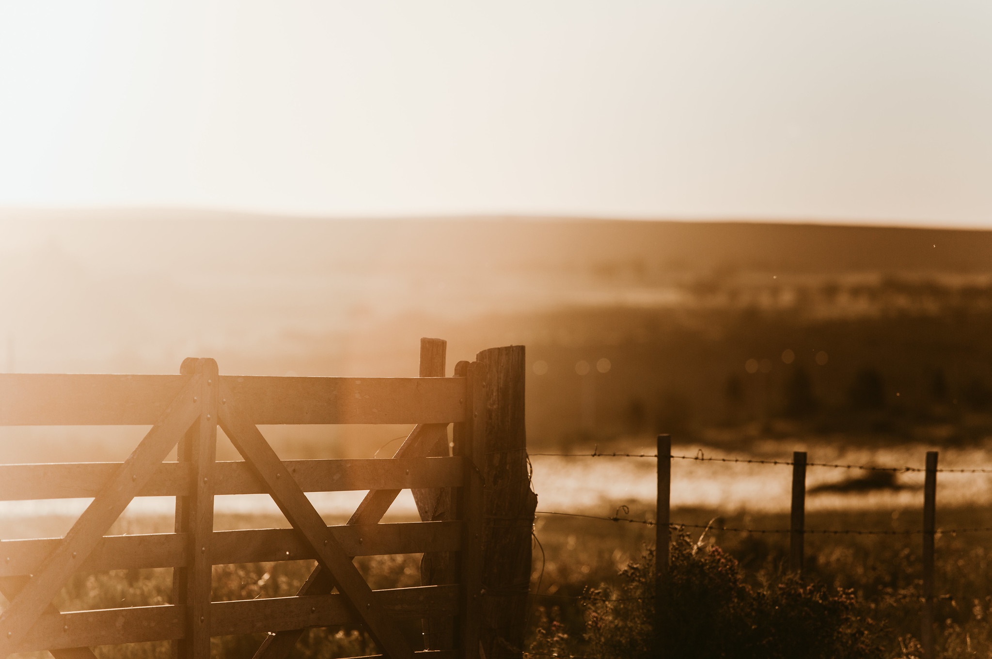 Wooden gate in a field at sunset HD Wallpaper