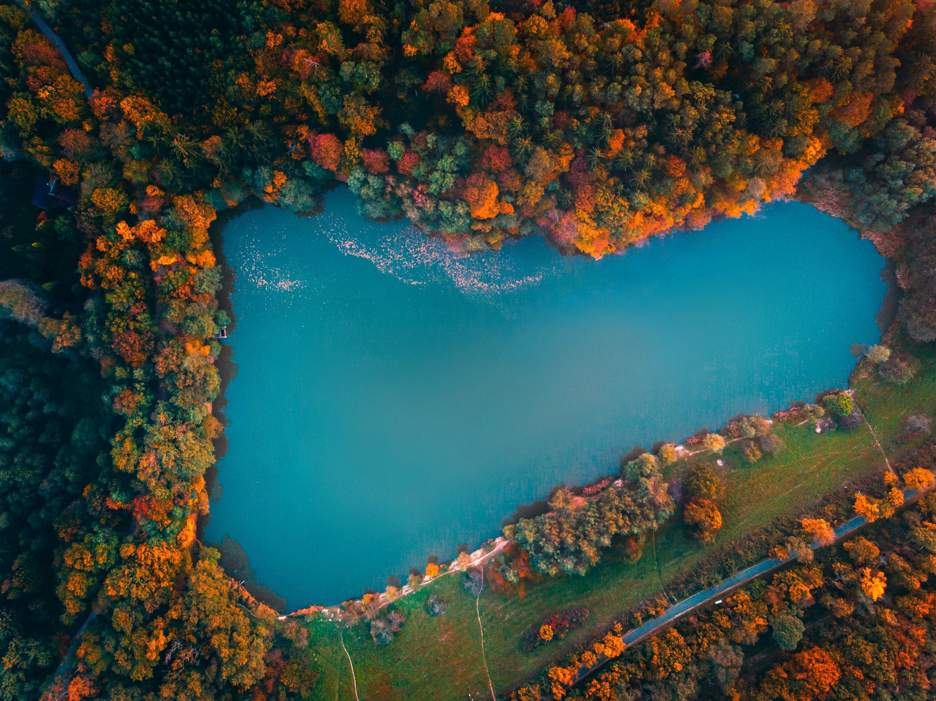 Aerial view of a heart-shaped lake surrounded by autumn forest in Hungary HD Wallpaper