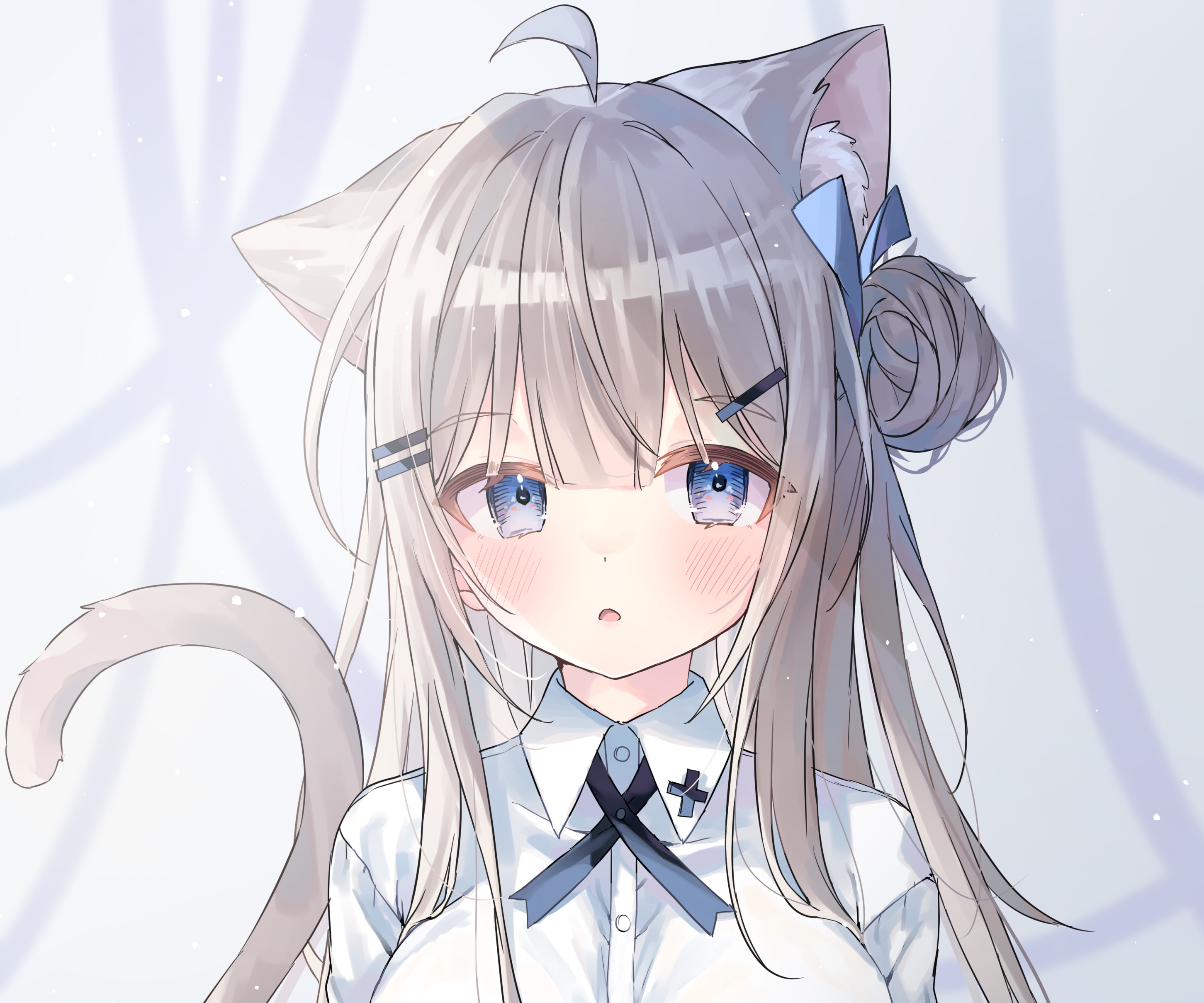 Anime girl with cat ears and blue eyes HD Wallpaper