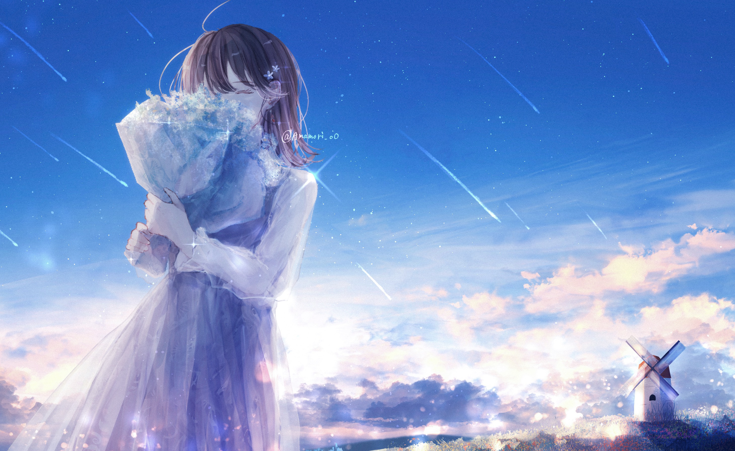 Girl with Bouquet under Meteor Shower HD Wallpaper