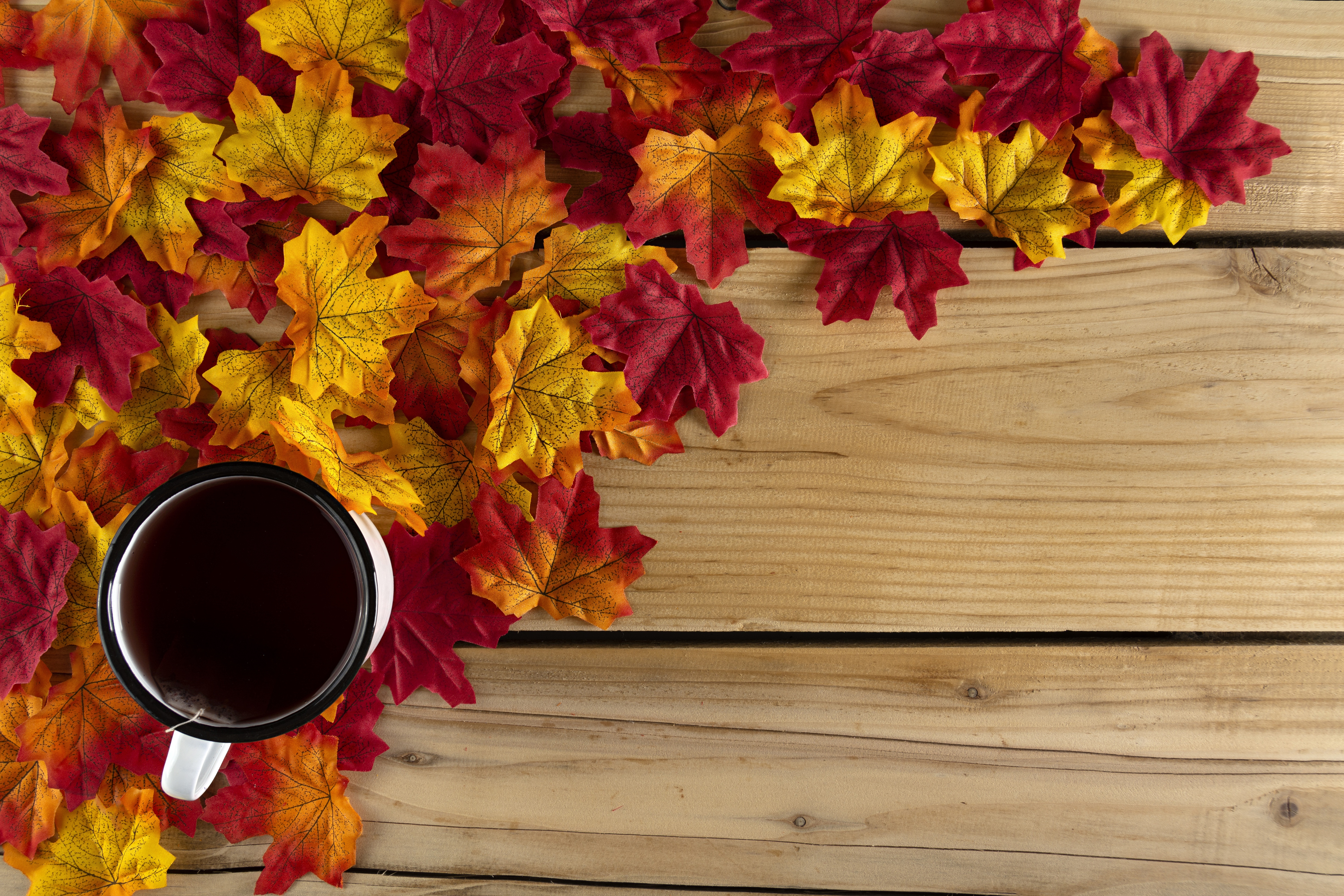 Cup of tea surrounded by autumn leaves on wooden table HD Wallpaper
