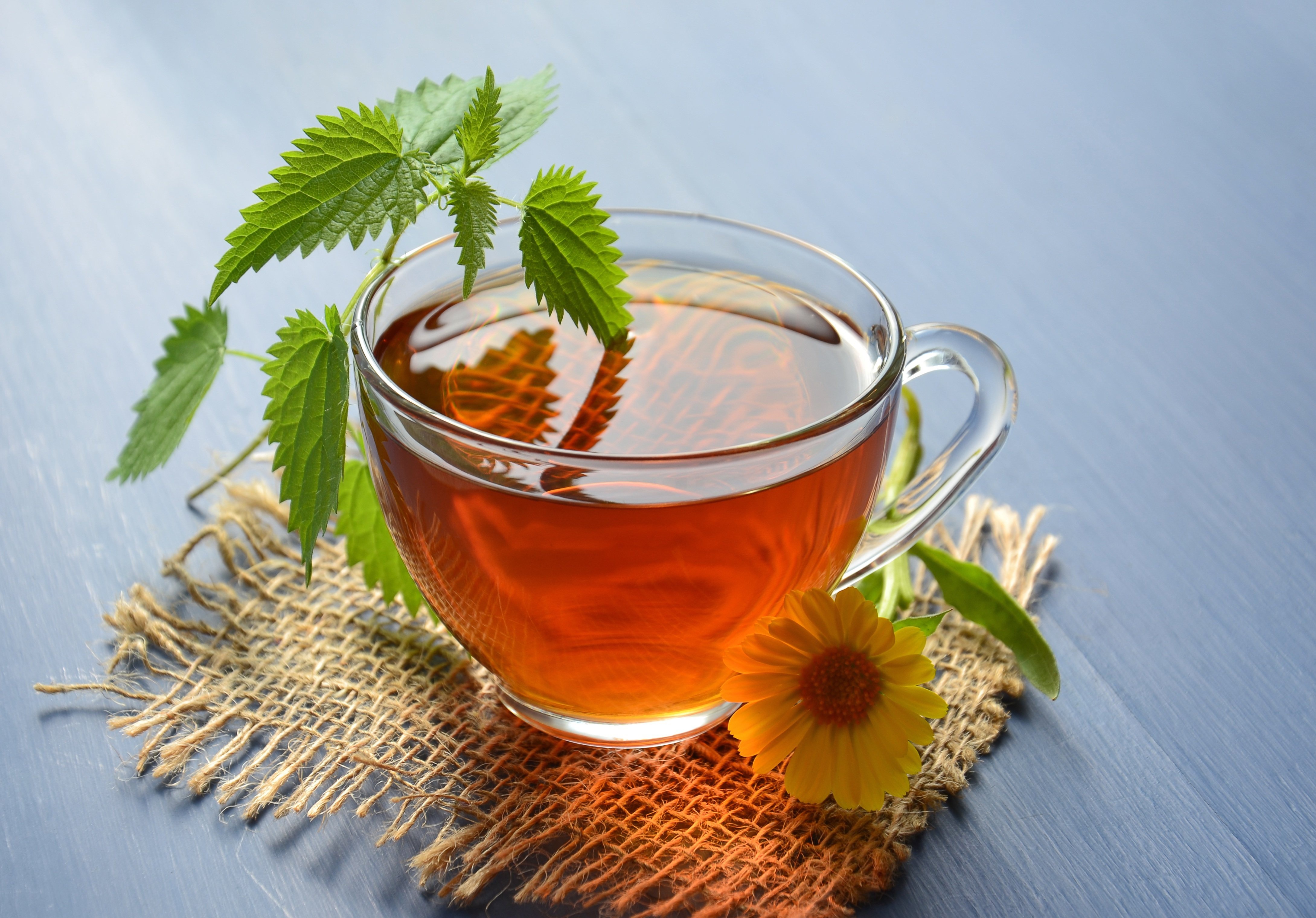 Cup of Tea with Nettle and Flower HD Wallpaper