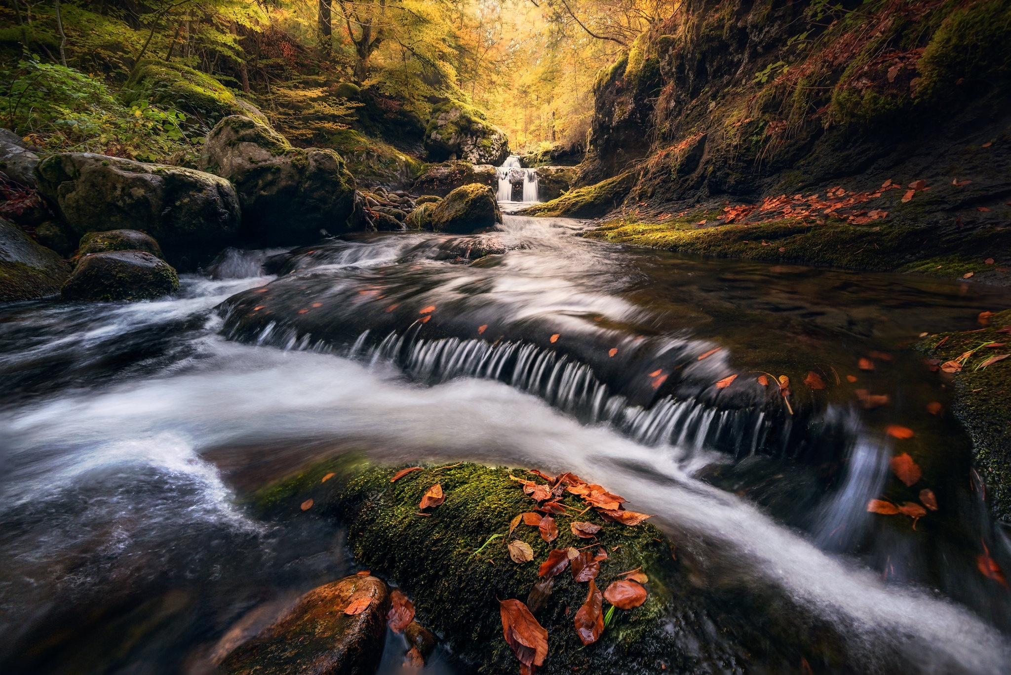 Stream in Sierra de Cebollera Natural Park, Spain HD Wallpaper