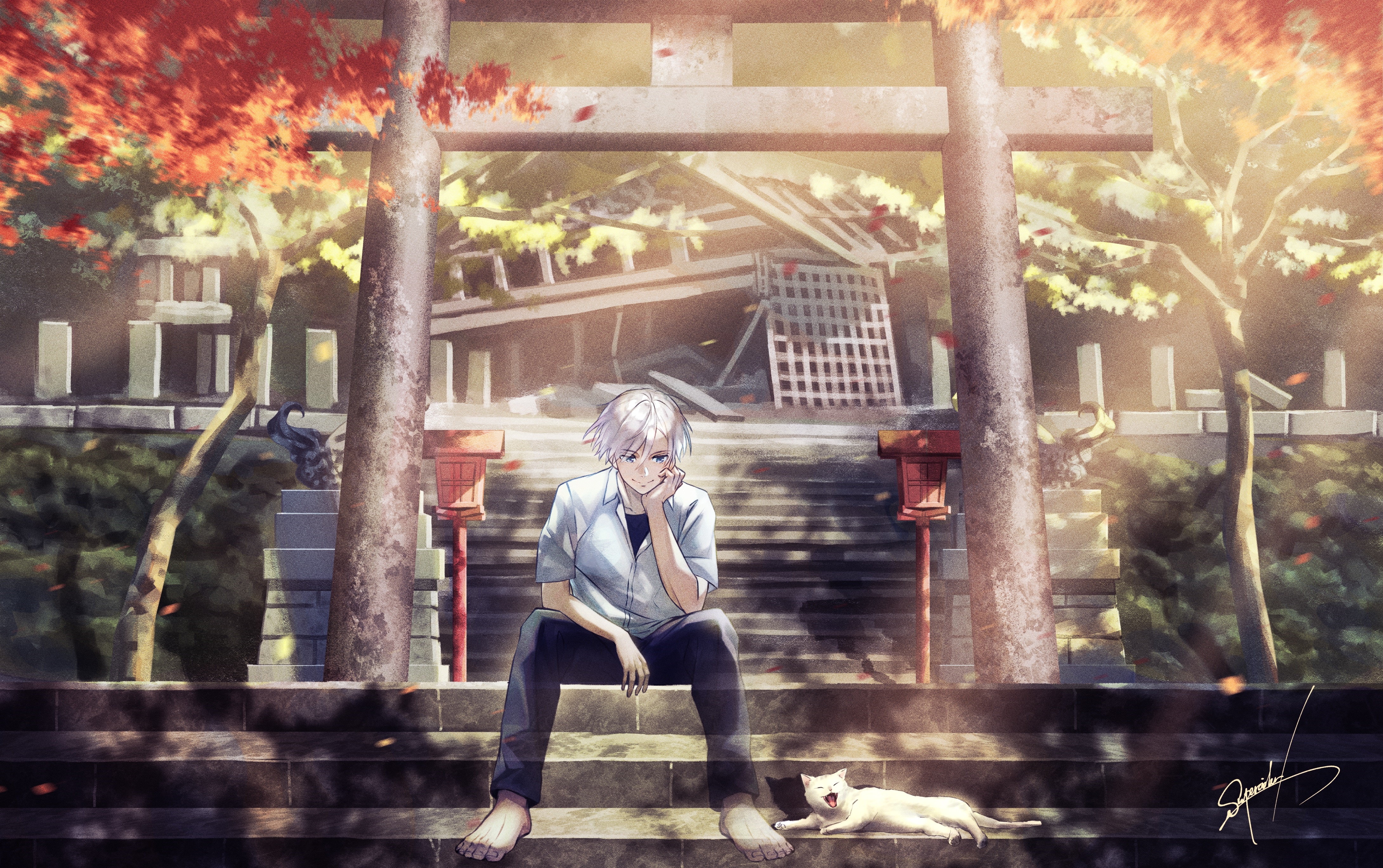 Boy and Cat at Torii Shrine HD Wallpaper