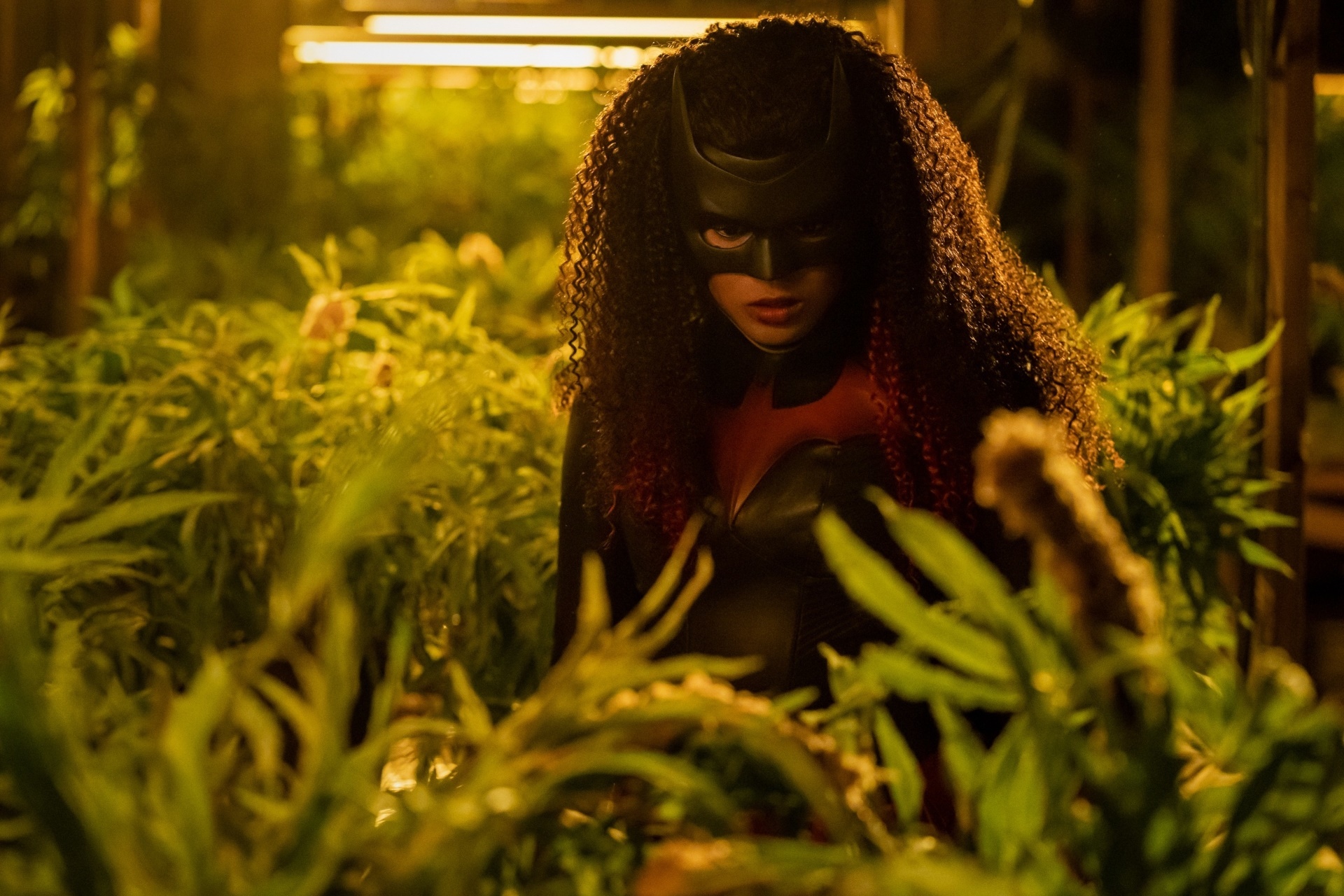 Batwoman from Batwoman in a greenhouse HD Wallpaper