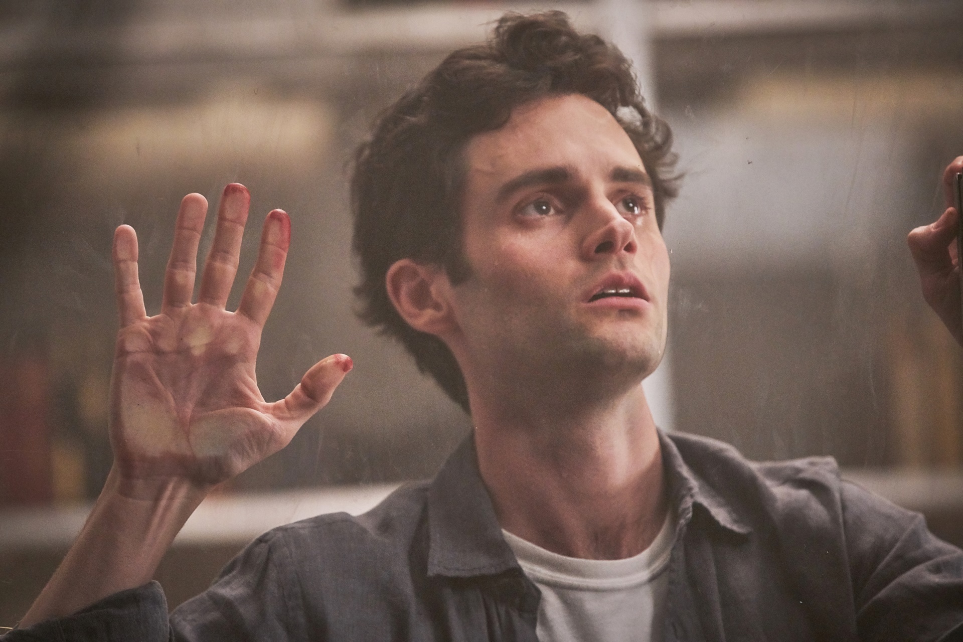 Joe from YOU HD Wallpaper