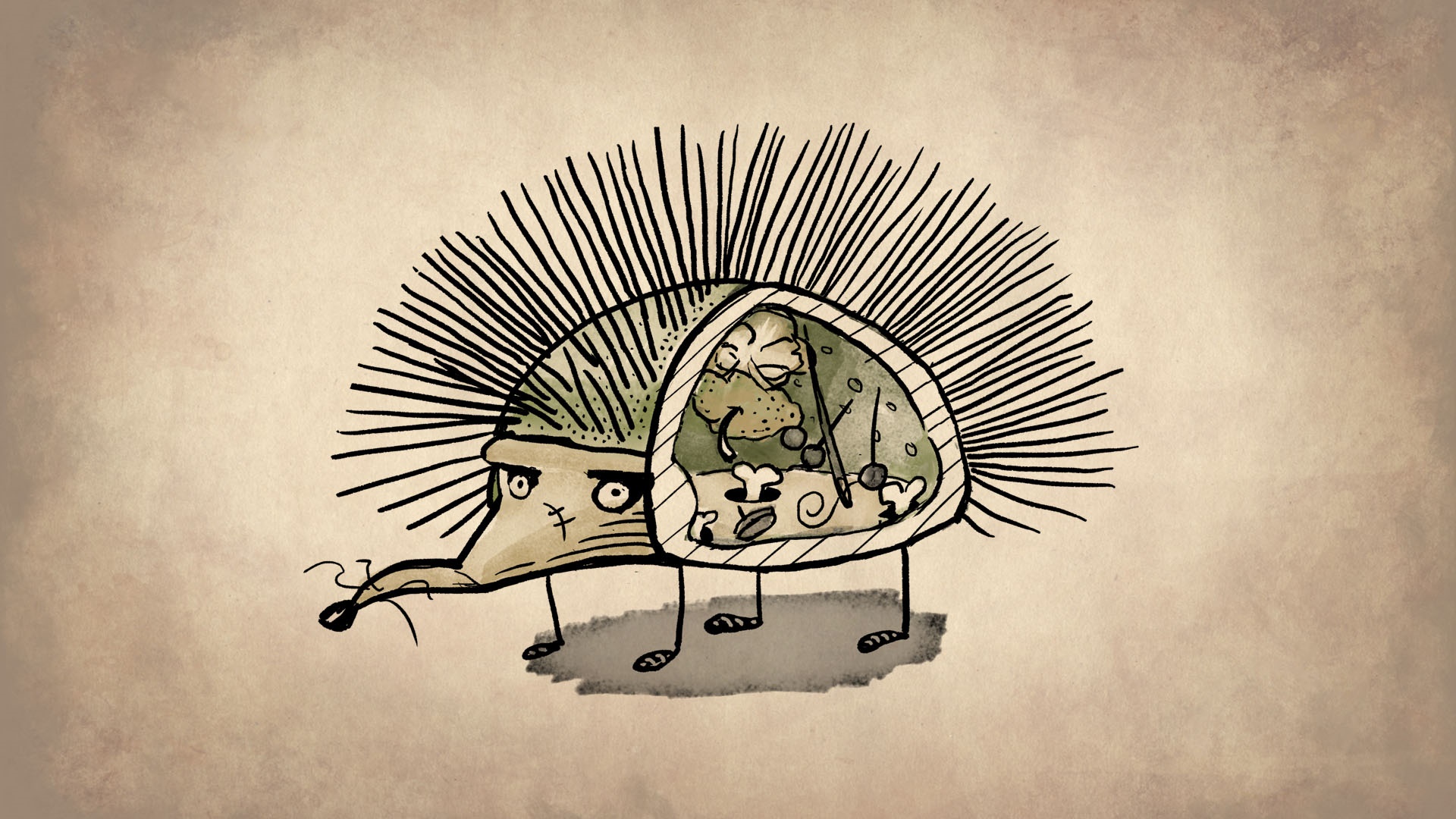 Cartoon hedgehog with internal organs visible HD Wallpaper