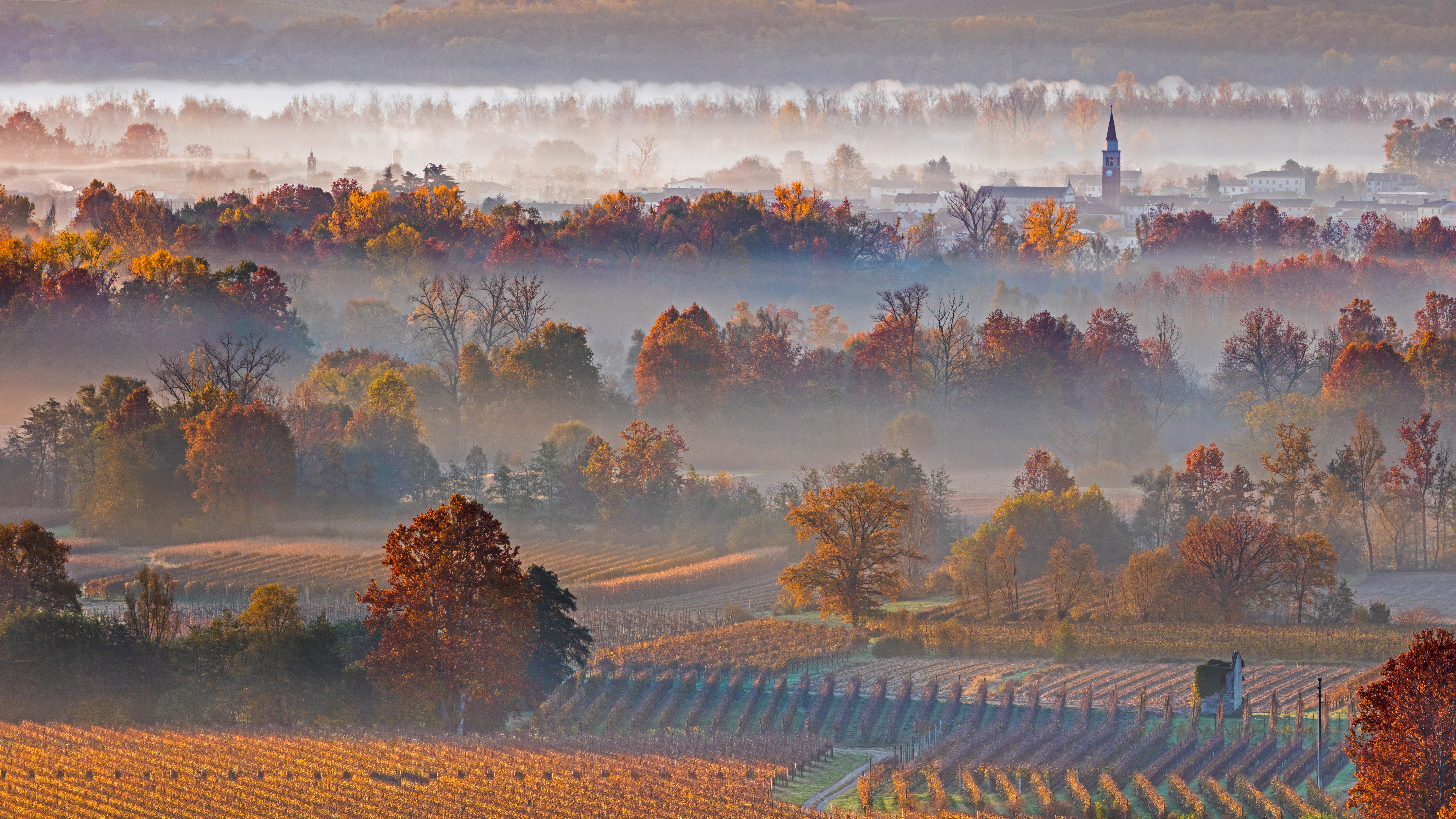 Prosecco Hills, Veneto, Italy in Autumn HD Wallpaper