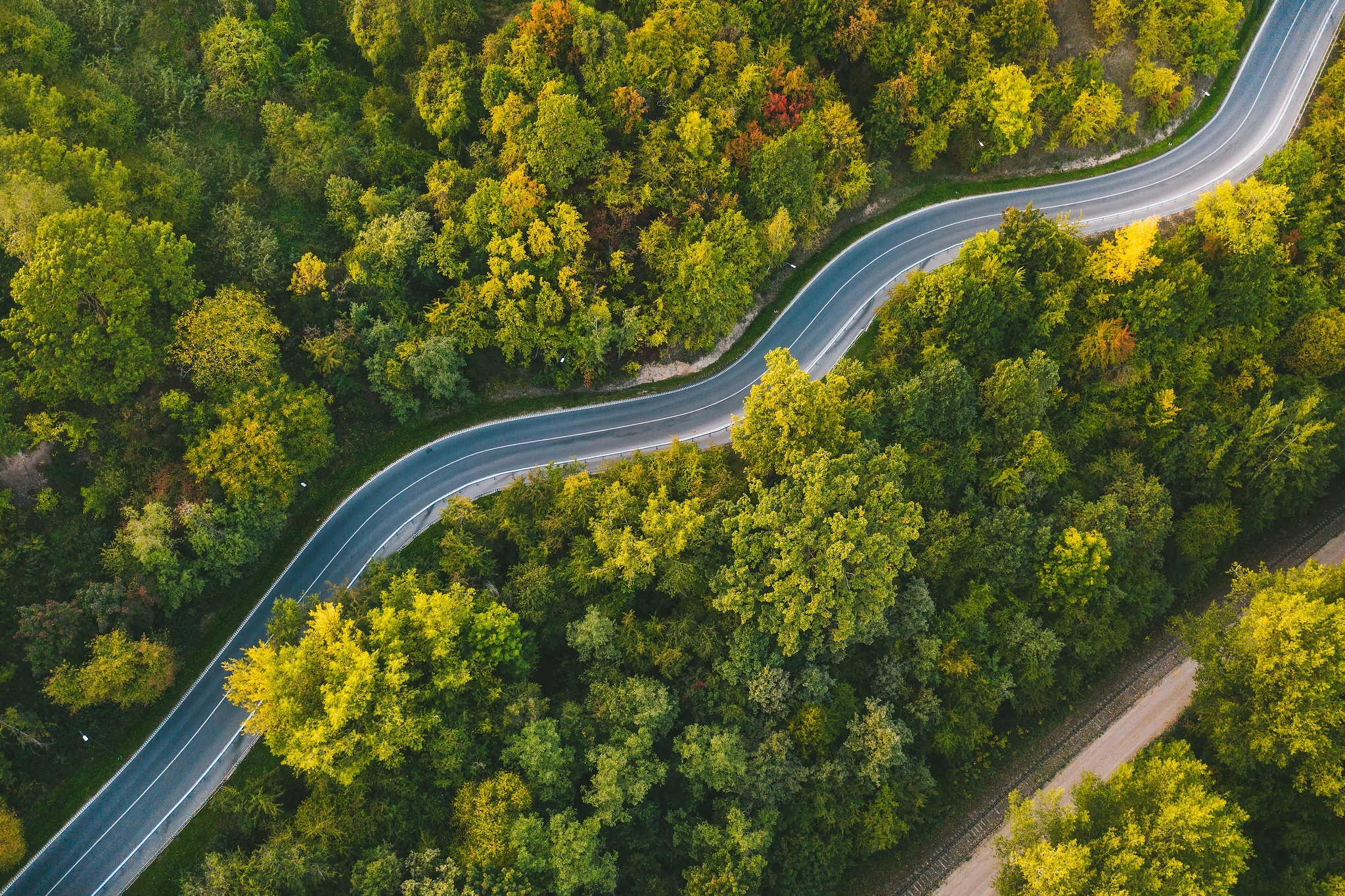 Aerial view of a winding road through a forest in Lithuania HD Wallpaper