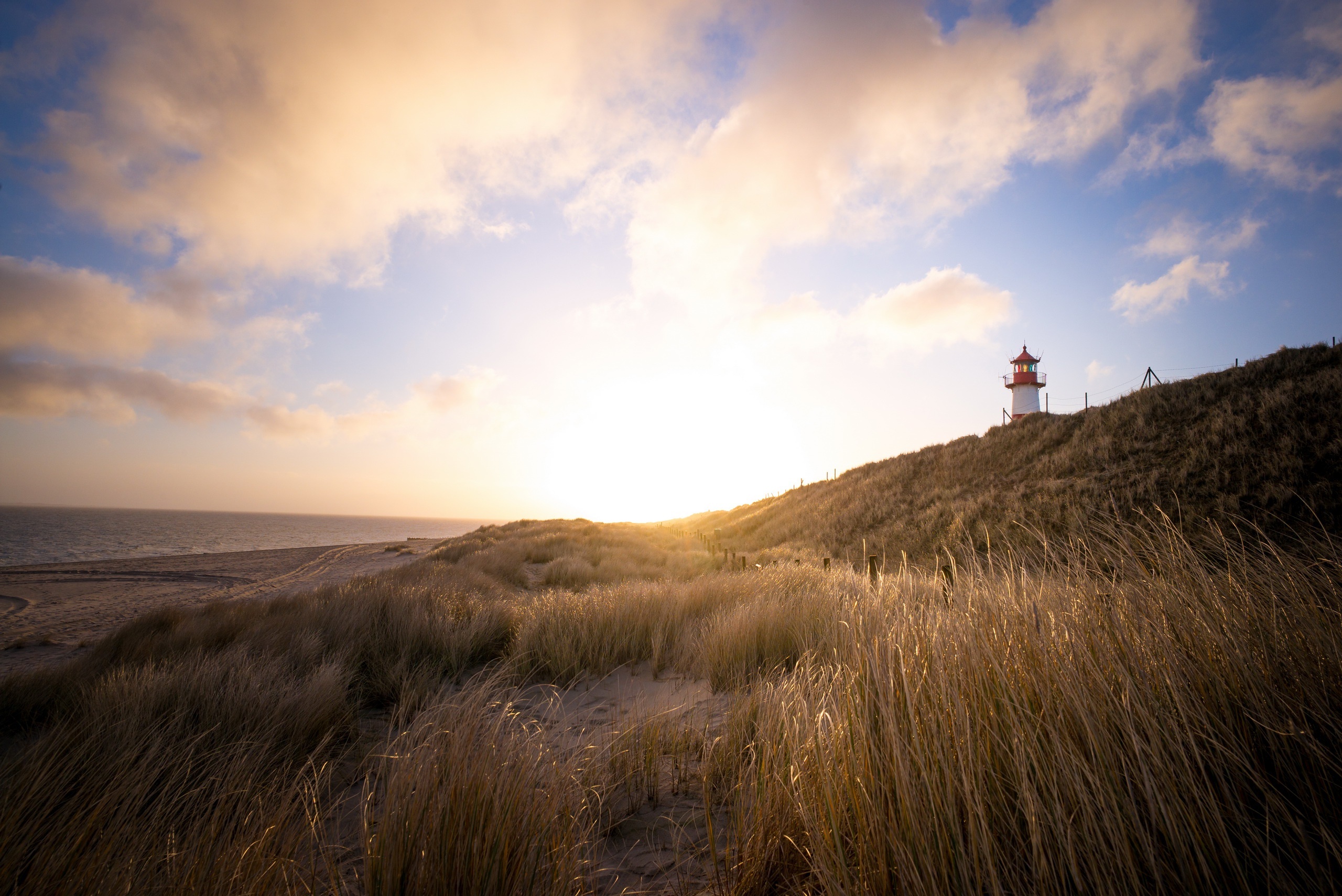 Lighthouse on a grassy dune by the sea at sunset HD Wallpaper
