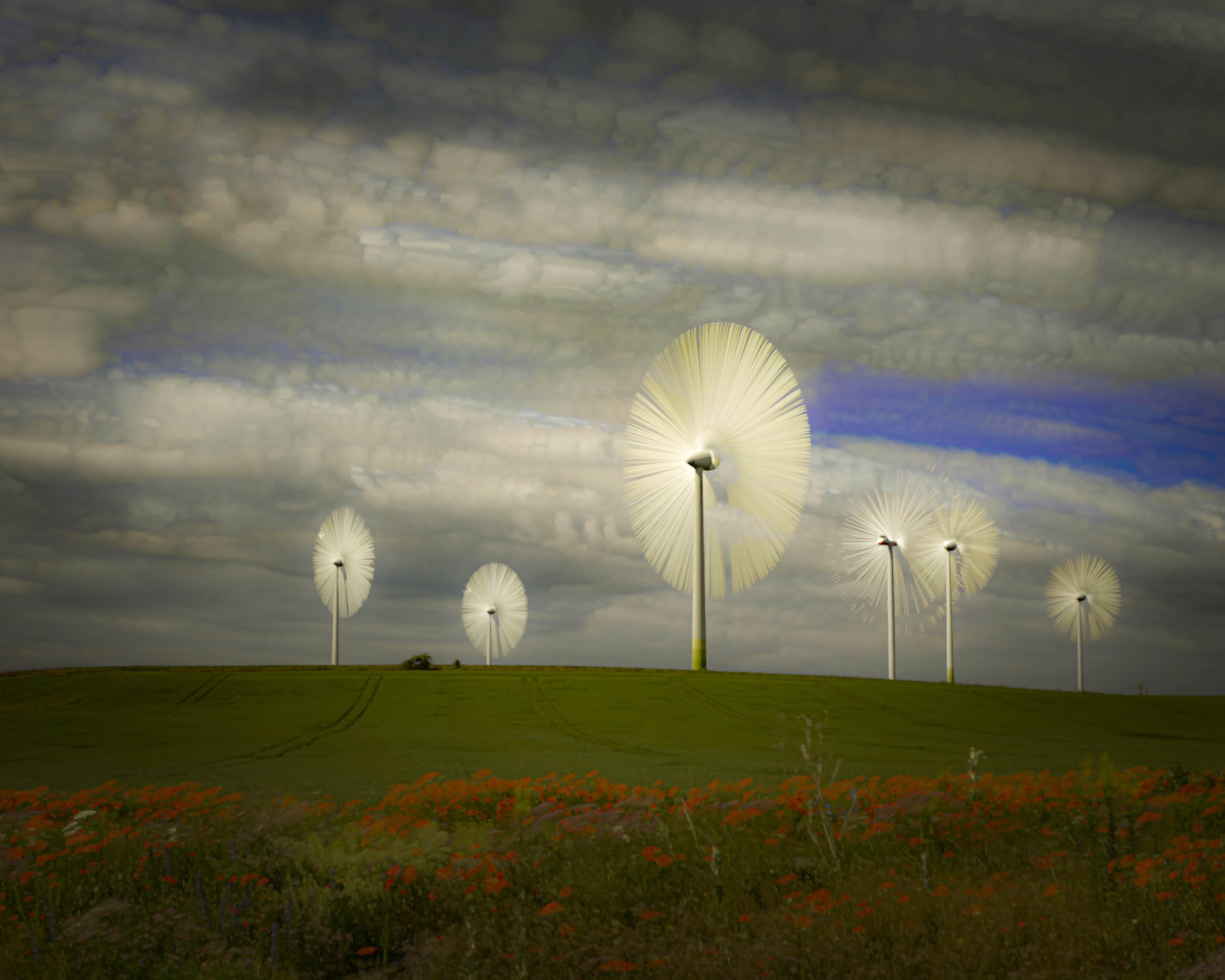 Wind Turbines in a Field with Poppies HD Wallpaper