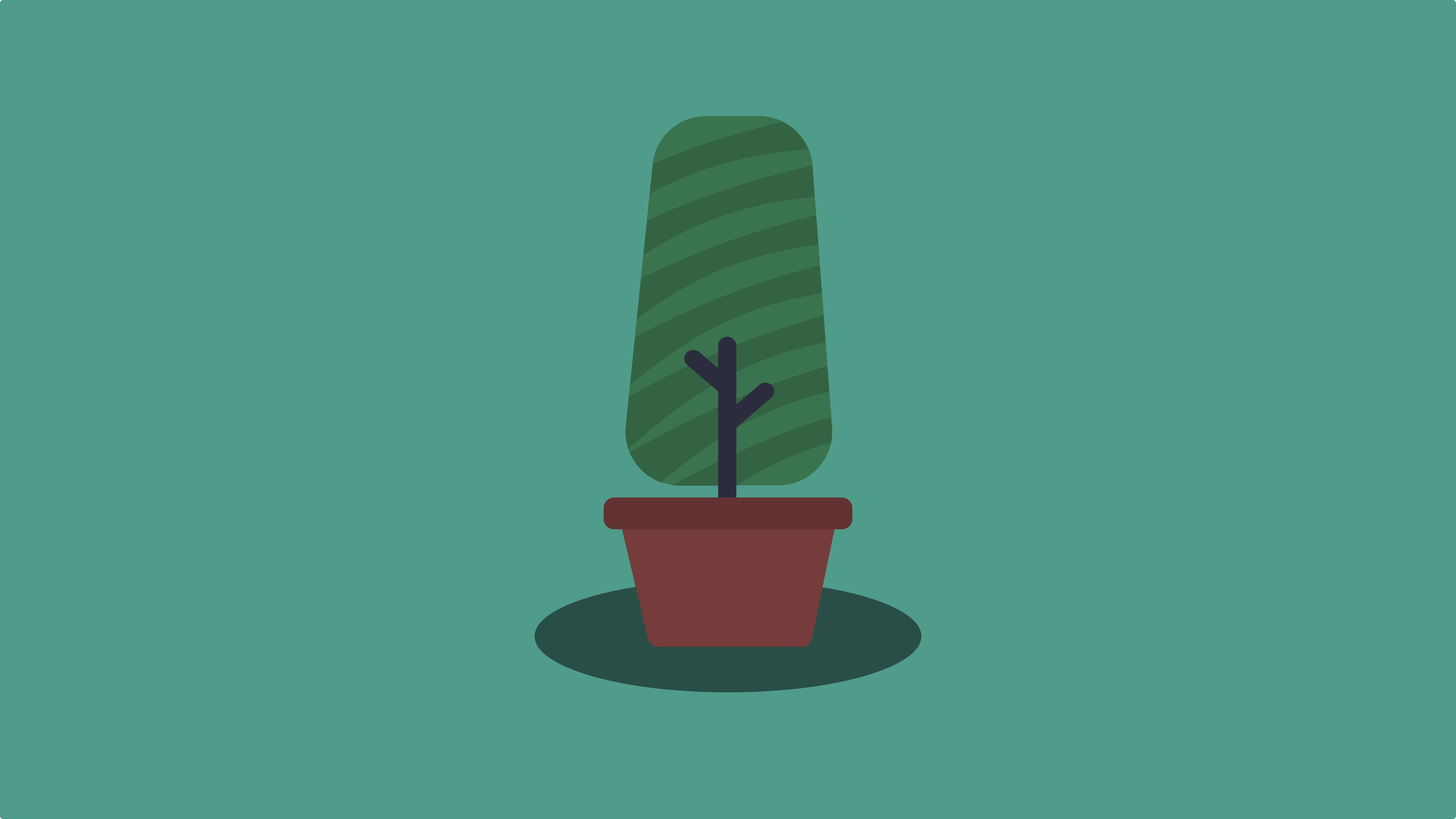 Minimalistic potted plant with green leaves HD Wallpaper