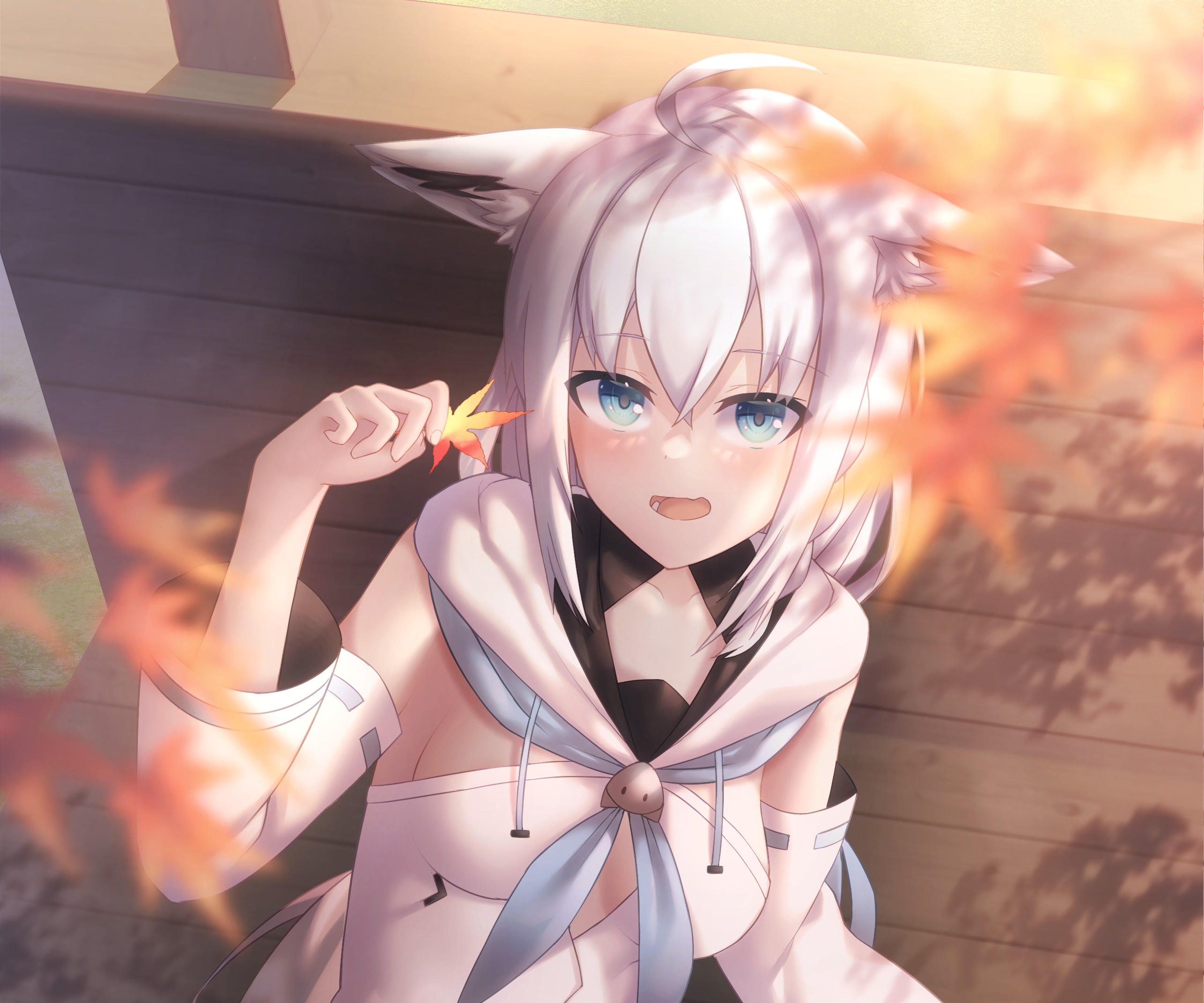 Shirakami Fubuki from Hololive HD Wallpaper