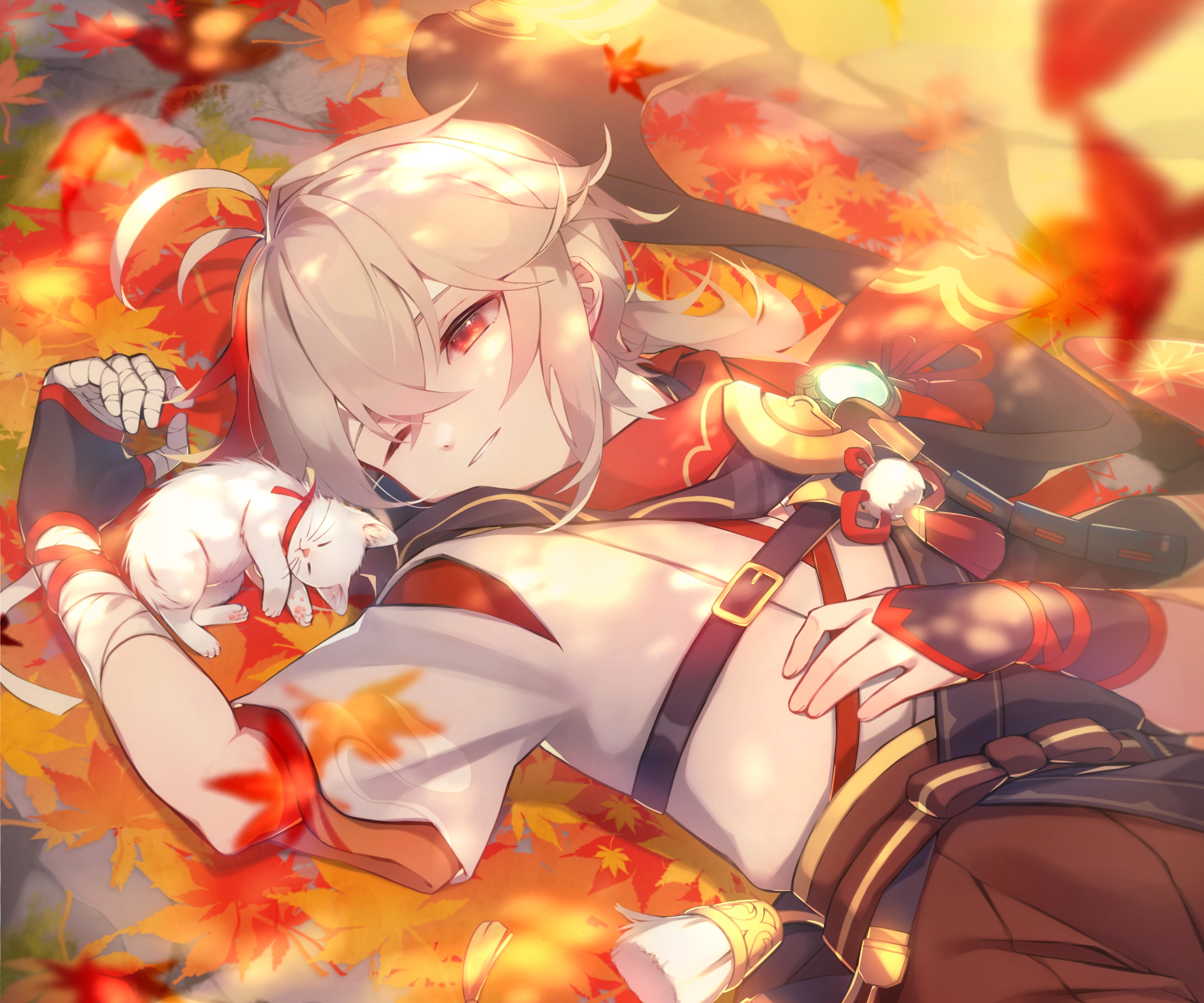 Kaedehara Kazuha from Genshin Impact with a cat HD Wallpaper