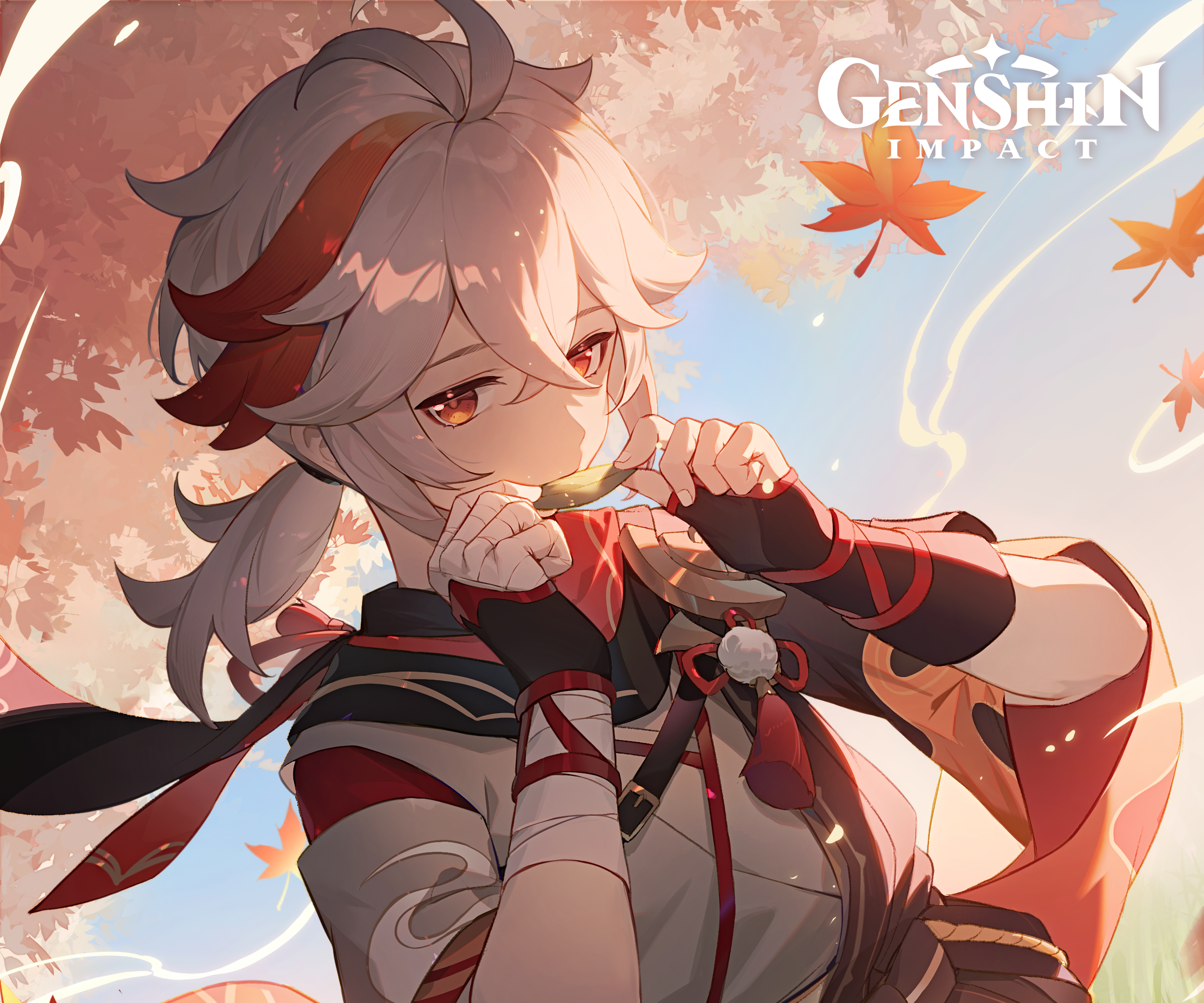 Kaedehara Kazuha from Genshin Impact HD Wallpaper
