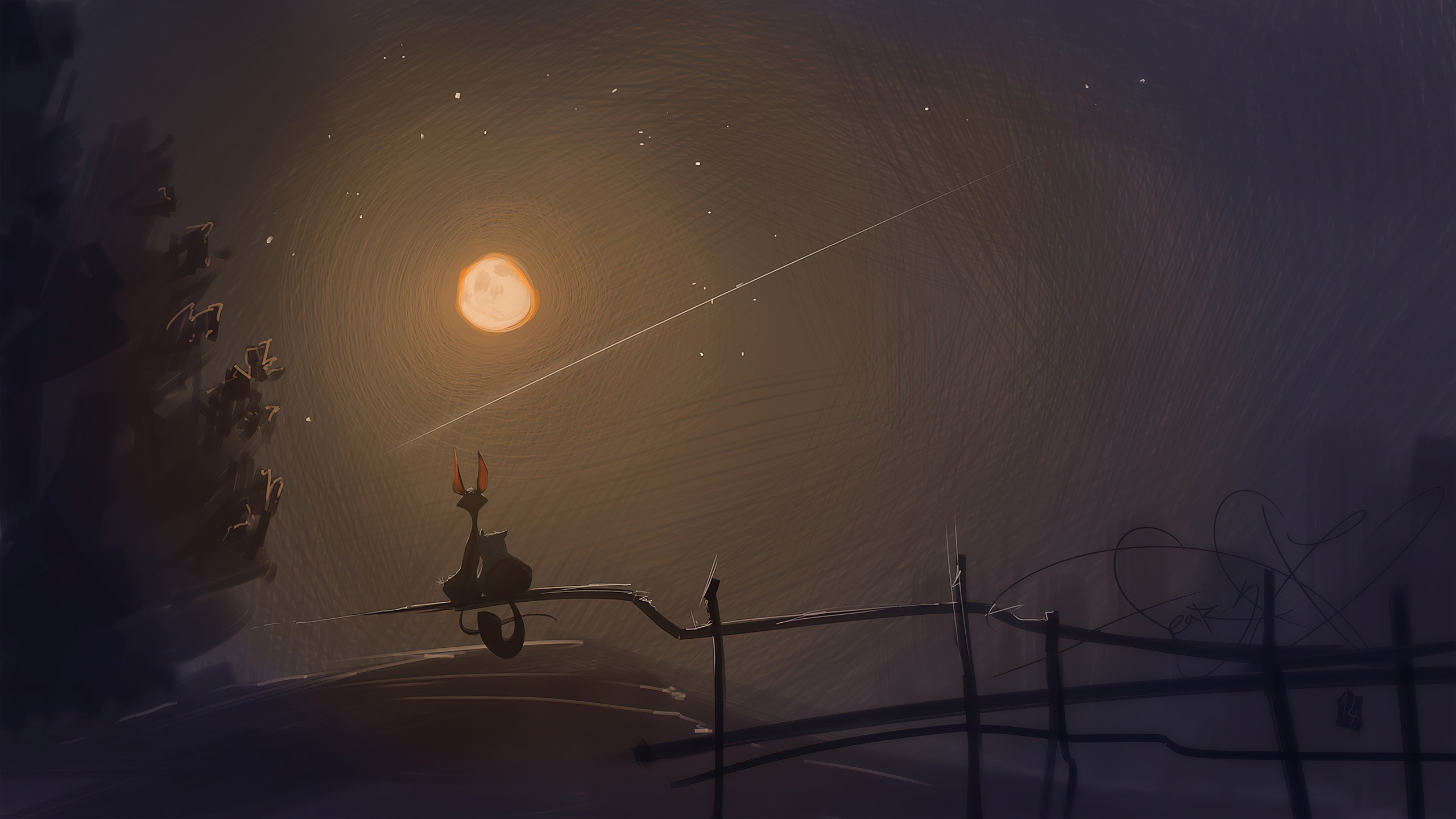 Fantasy Cat Watching a Shooting Star HD Wallpaper