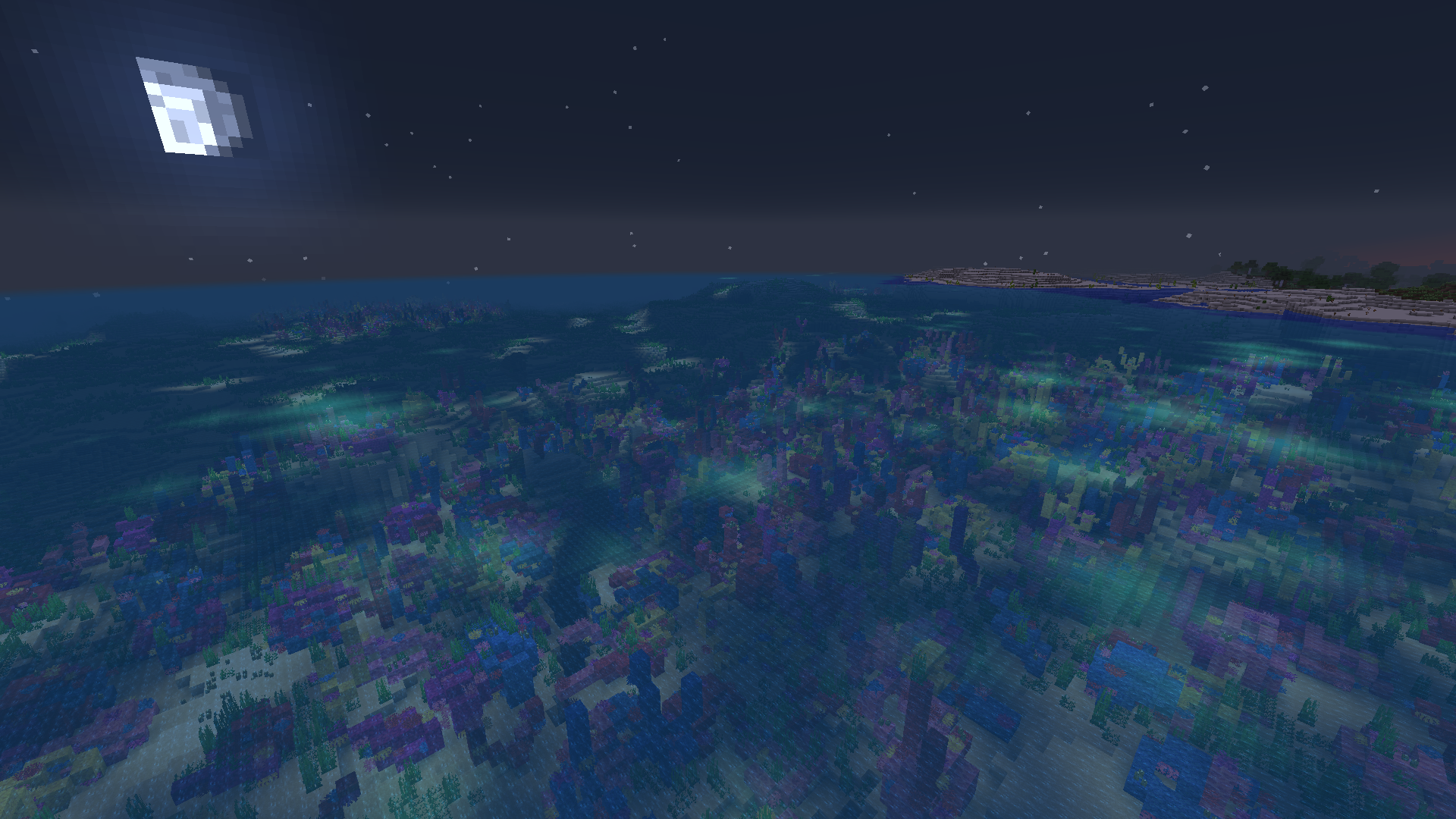 Coral reef at night under the moon HD Wallpaper