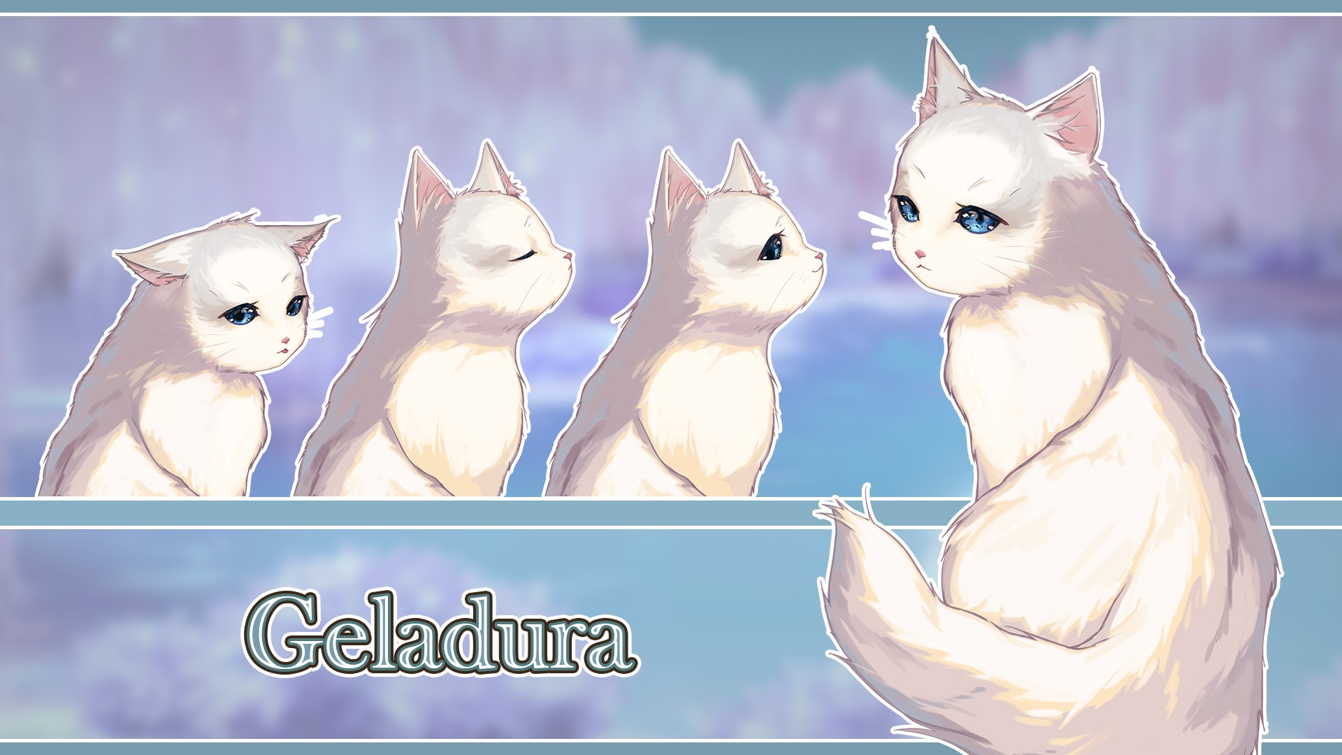 Geladura white cats HD Wallpaper