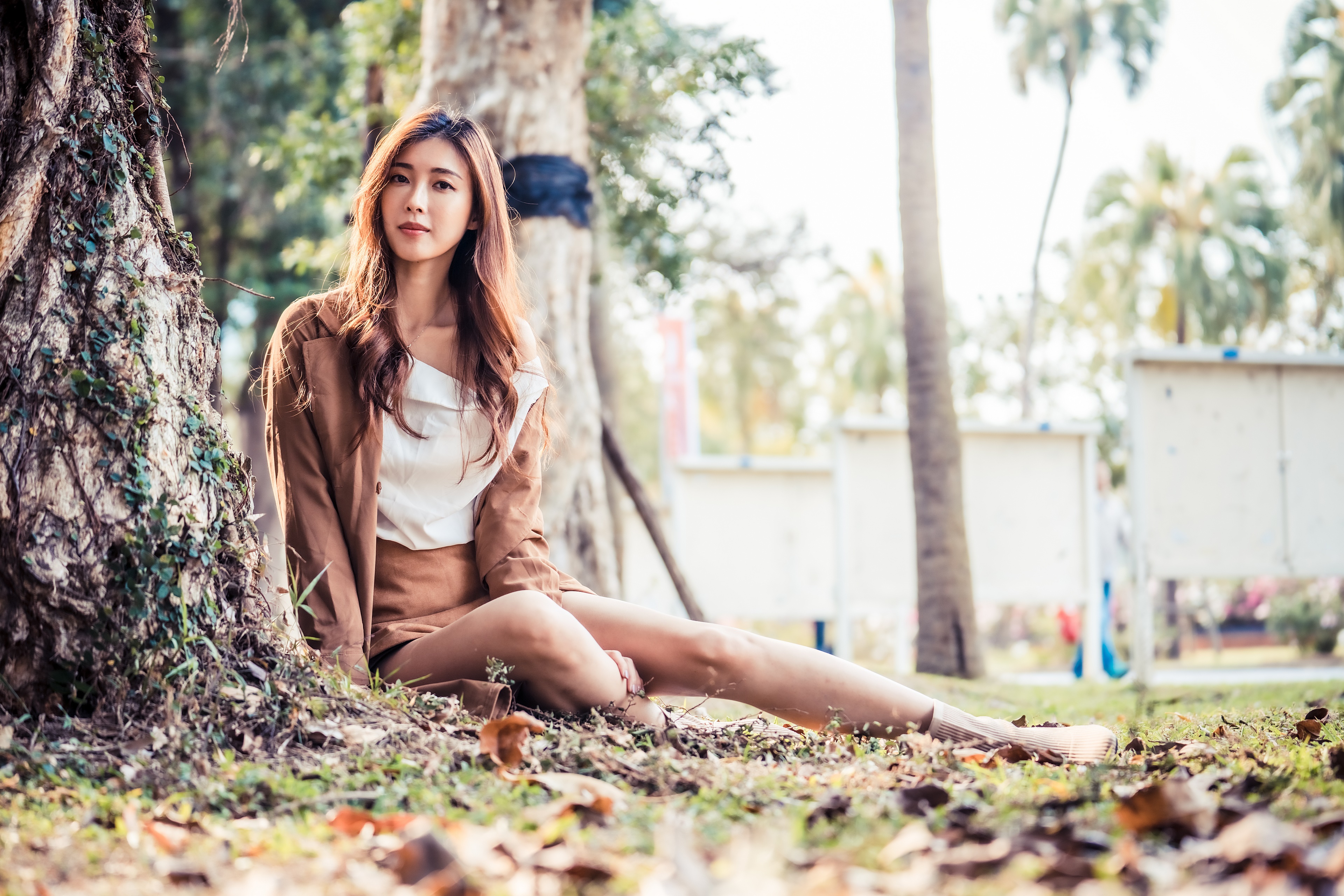 Asian woman with brunette hair sitting by a tree HD Wallpaper