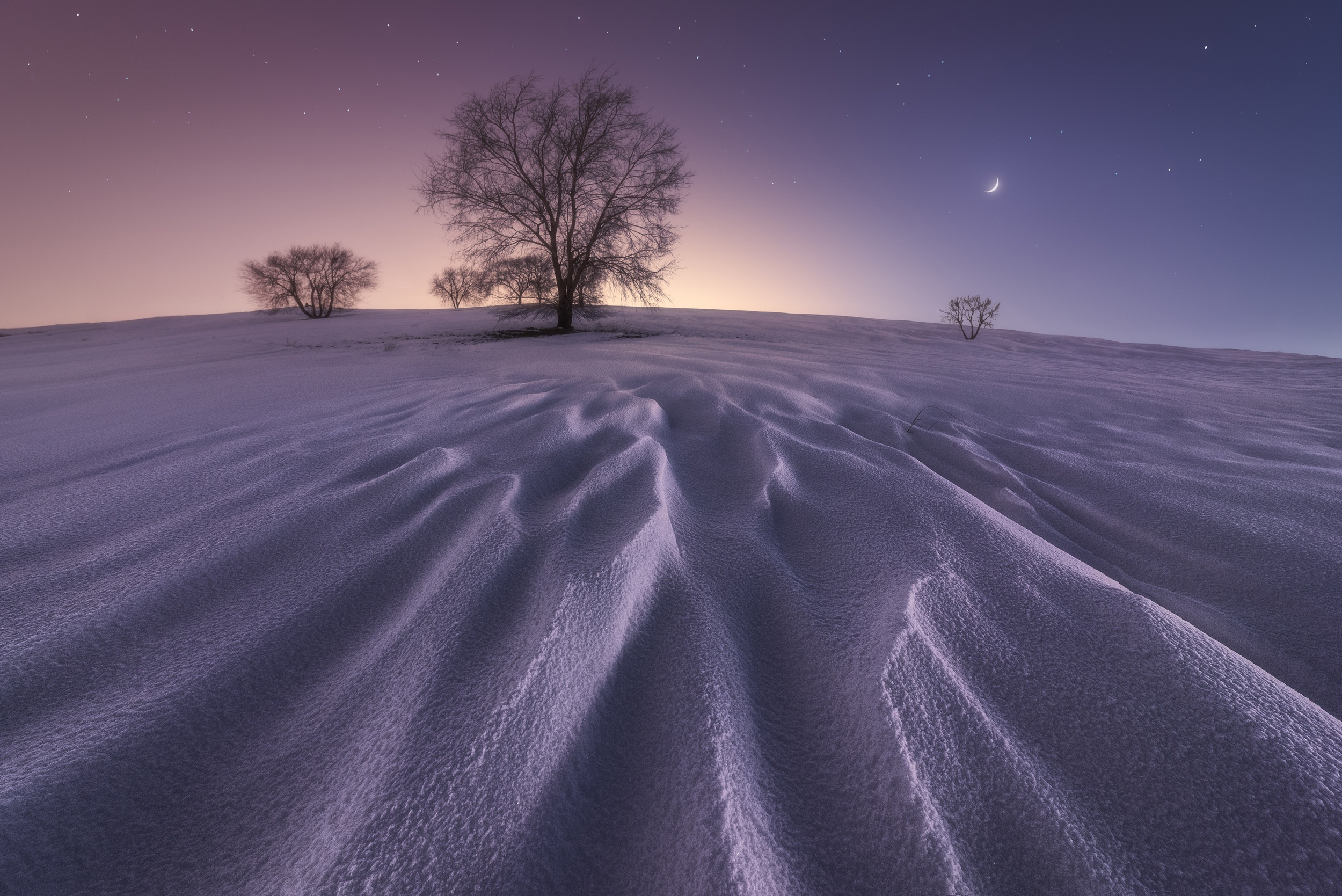 Winter snow-covered landscape with trees and crescent moon HD Wallpaper