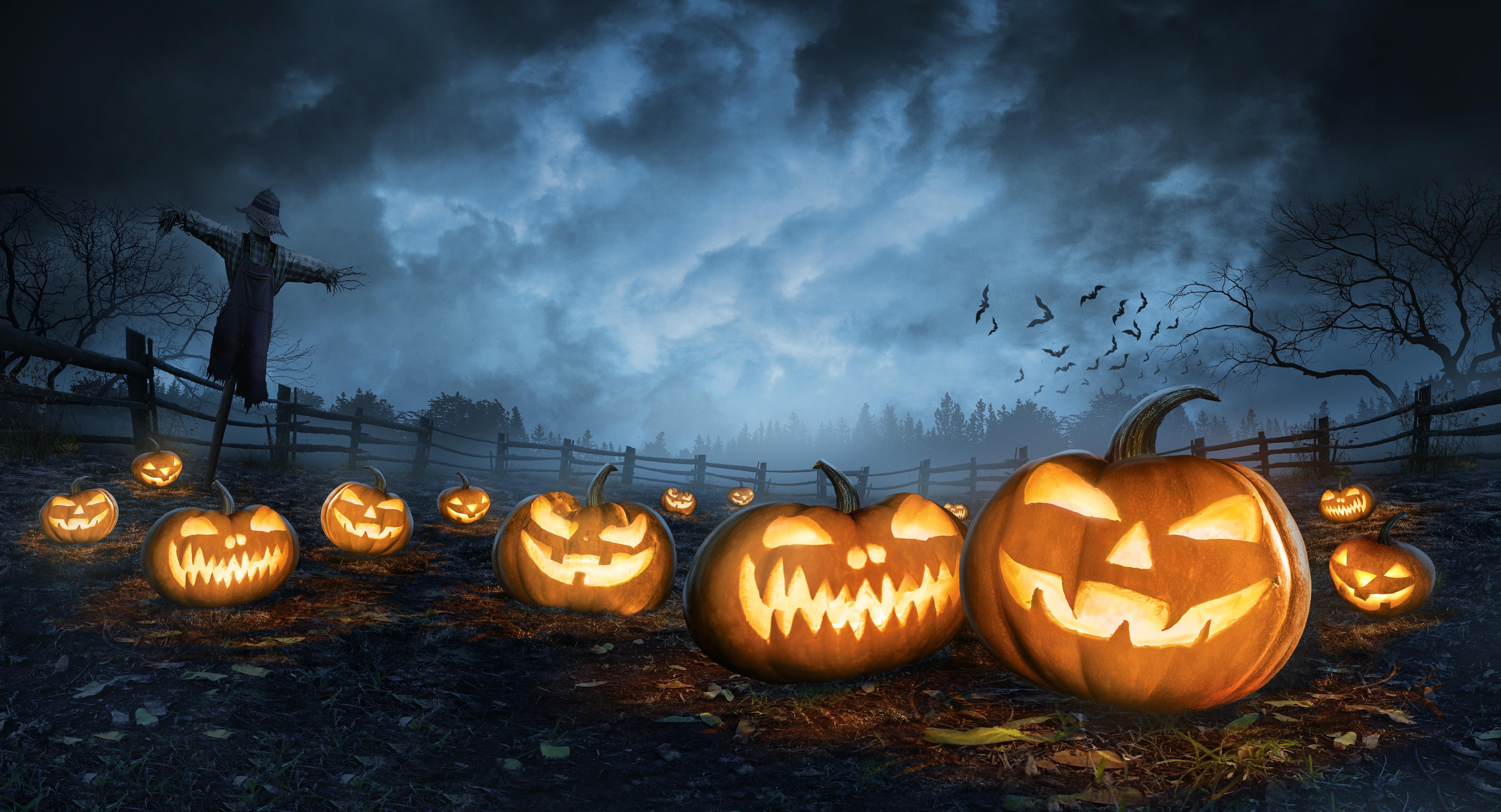 Halloween Jack-O-Lanterns and Scarecrow in Foggy Field 4K HD Wallpaper