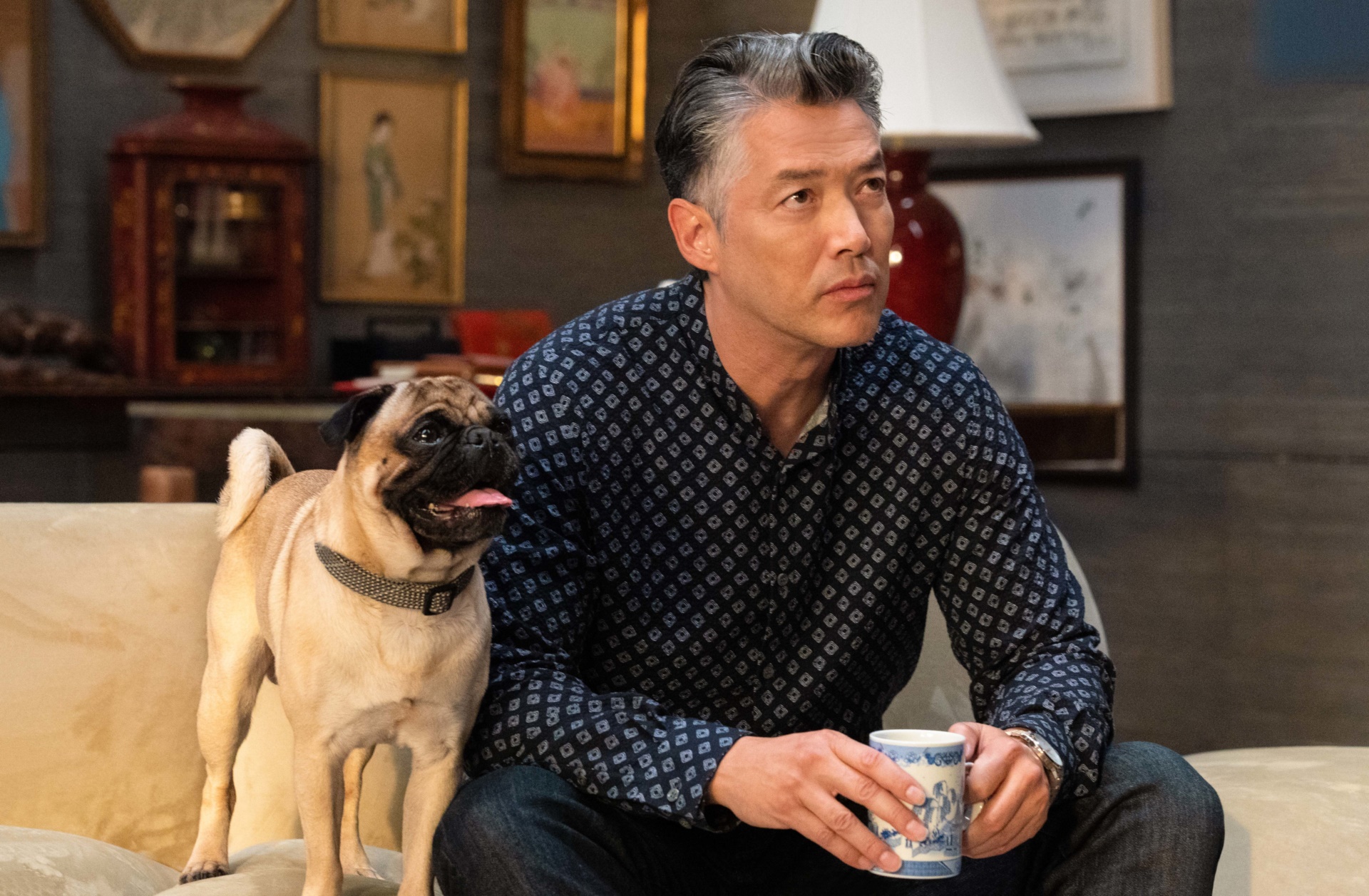 Man with pug on couch HD Wallpaper
