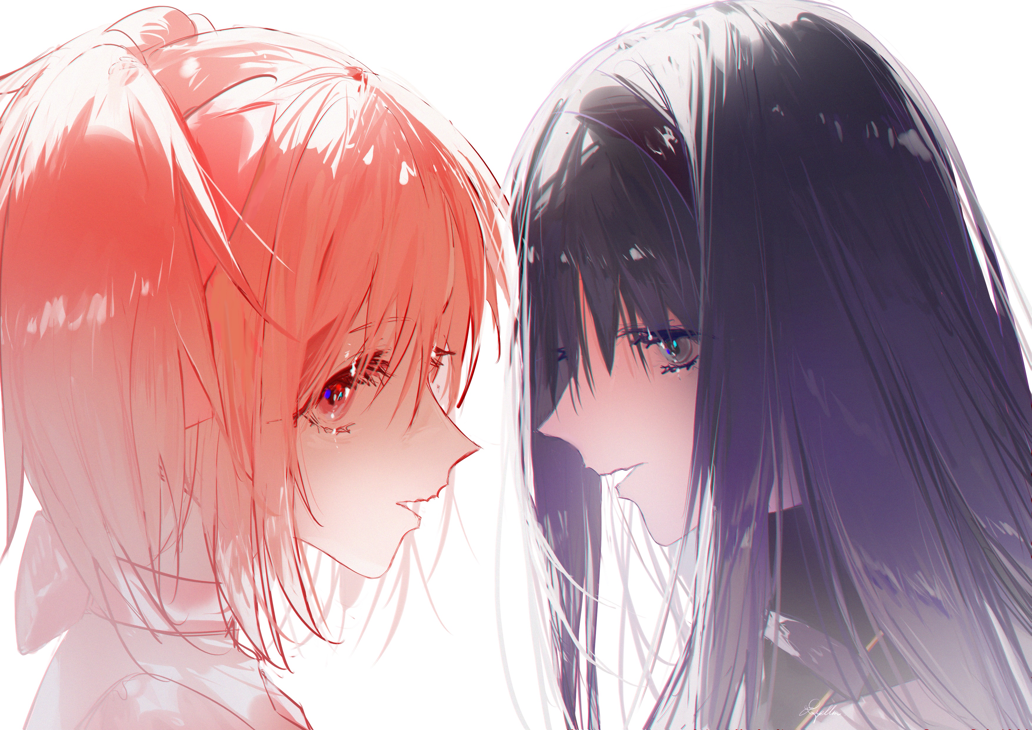 Madoka Kaname and Homura Akemi from Puella Magi Madoka Magica HD Wallpaper