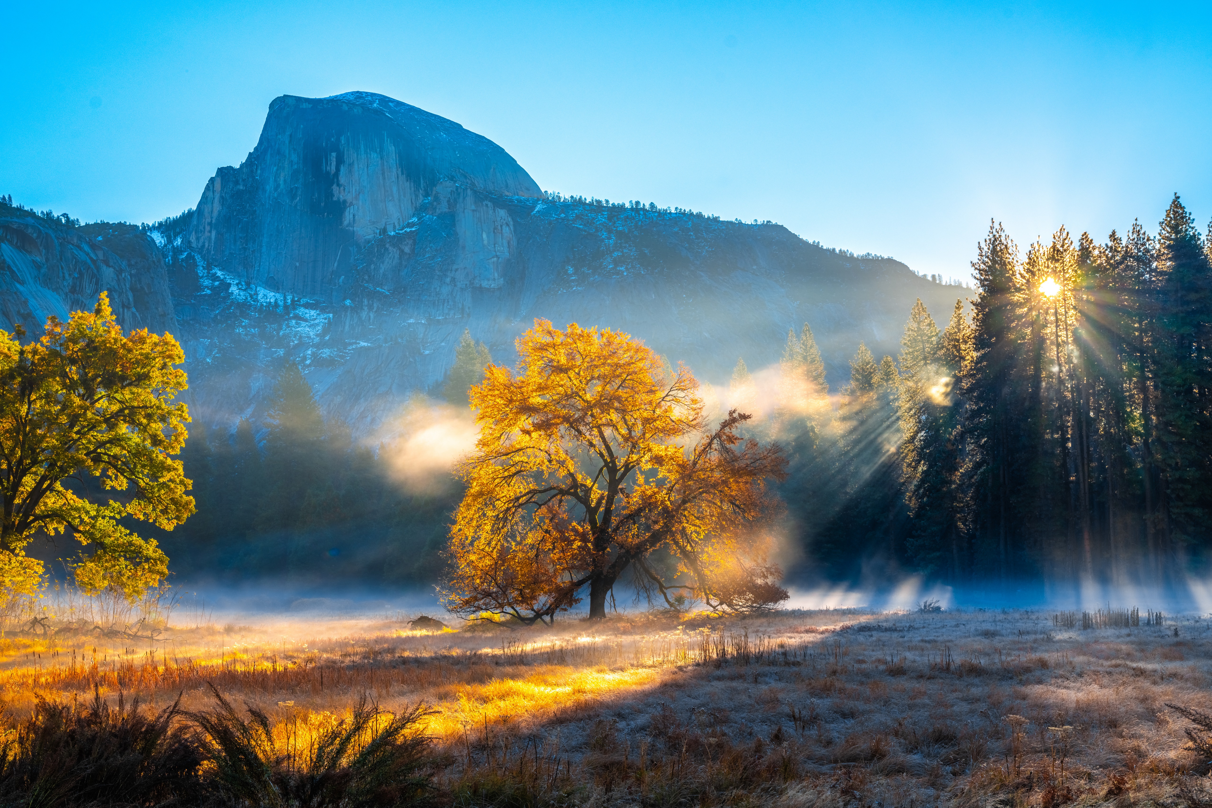 Yosemite National Park Sunbeams 4K HD Wallpaper