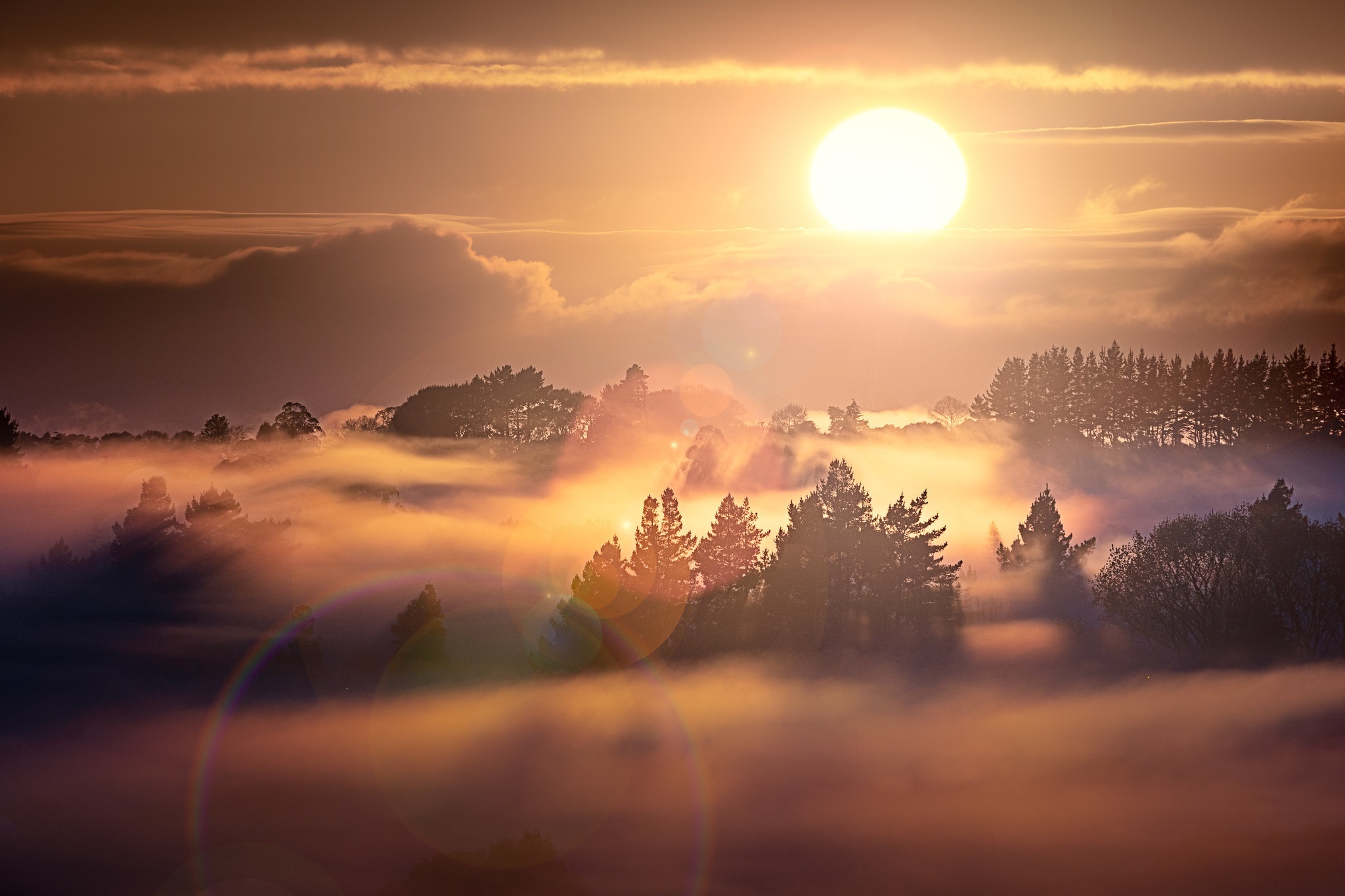 Sunrise over foggy New Zealand landscape HD Wallpaper
