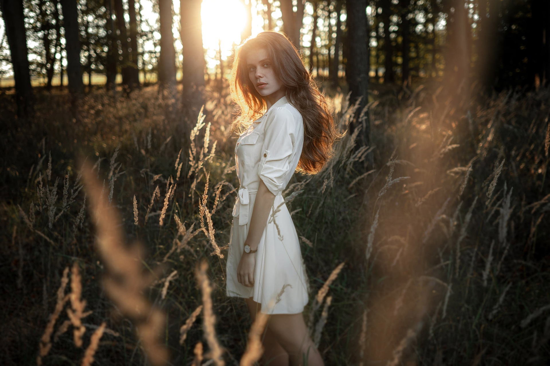 Brunette model in a white dress in a forest HD Wallpaper