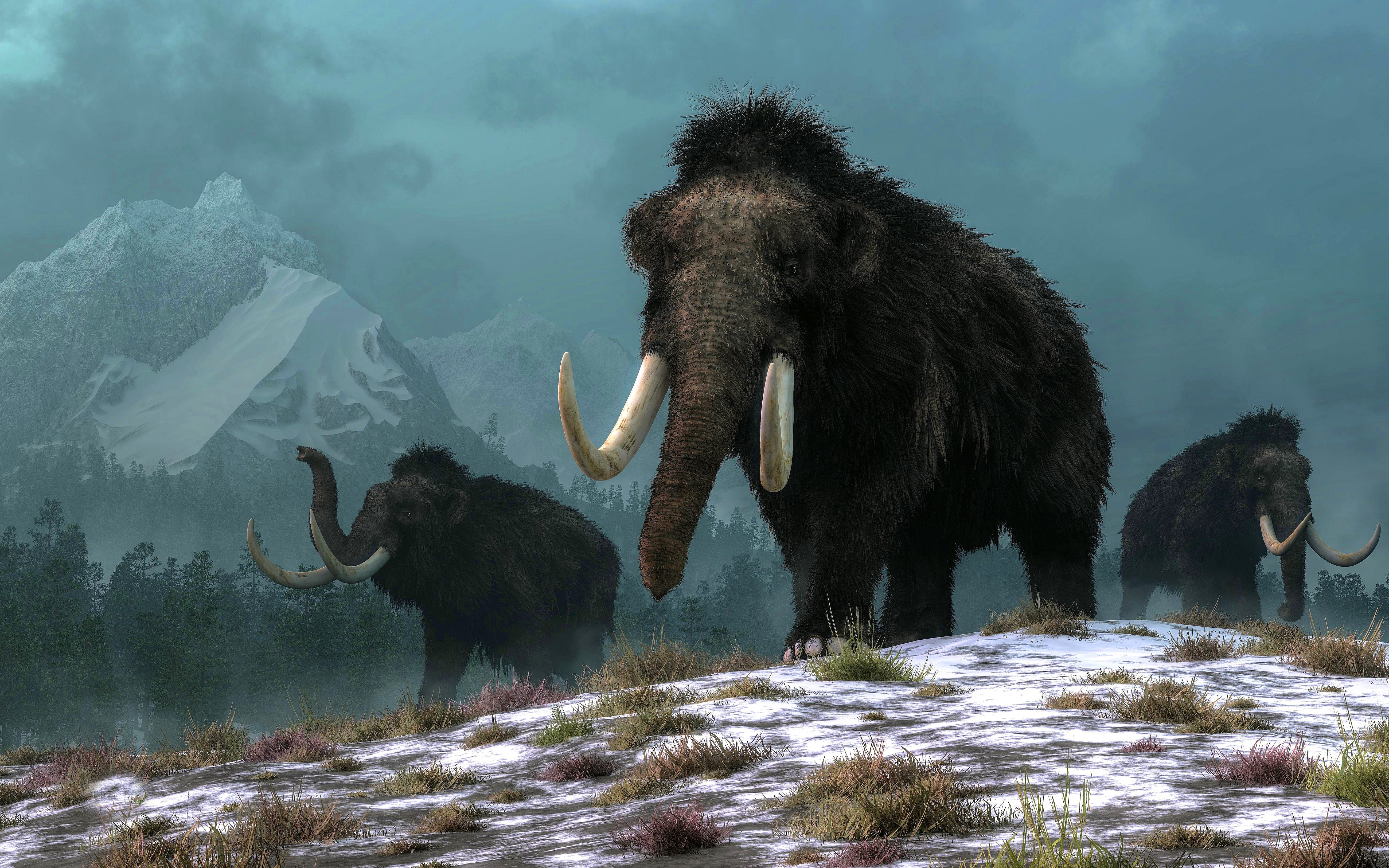 Mammoths in a snowy landscape 4K HD Wallpaper