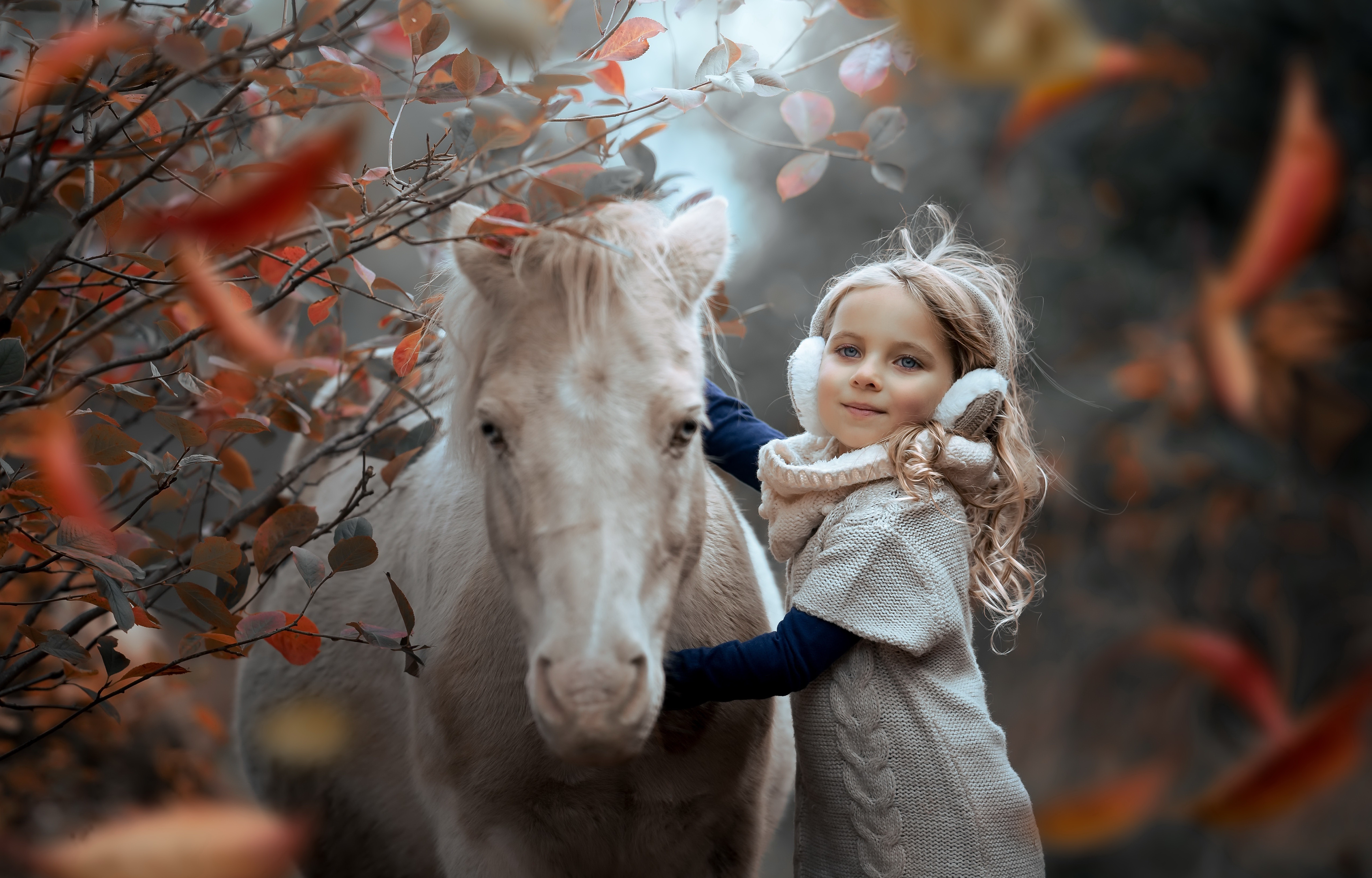 Photography Child Little Girl Horse HD Wallpaper