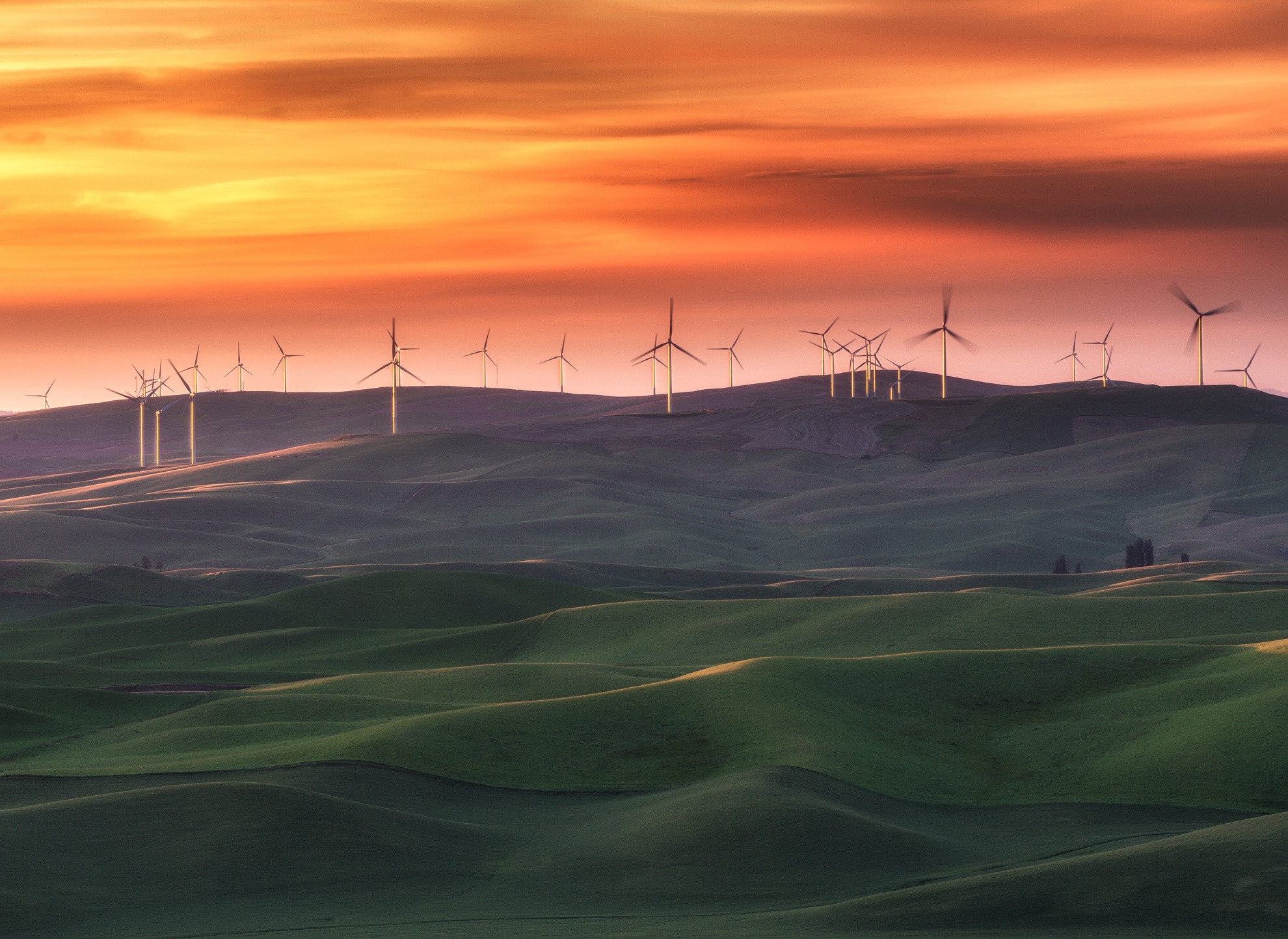 Wind turbines on rolling hills at sunset HD Wallpaper