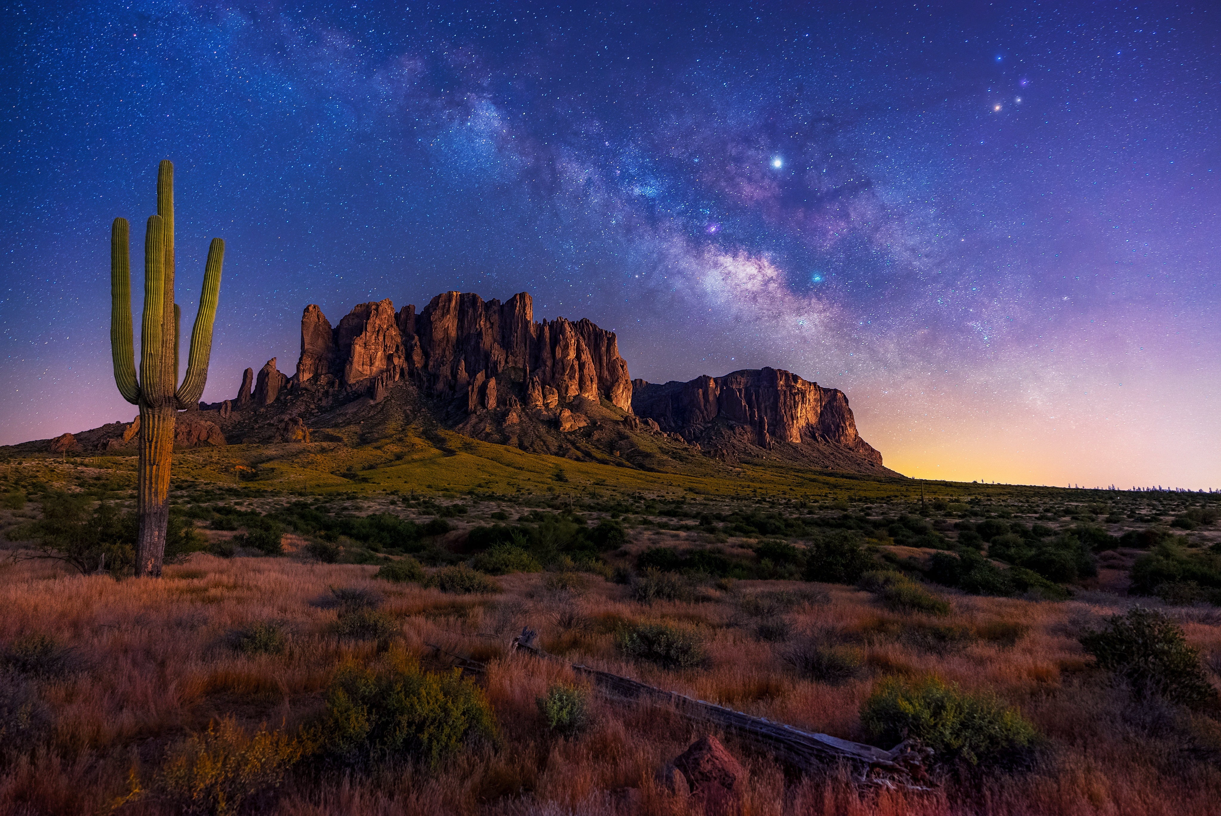 Desert landscape with Saguaro cactus and Milky Way HD Wallpaper