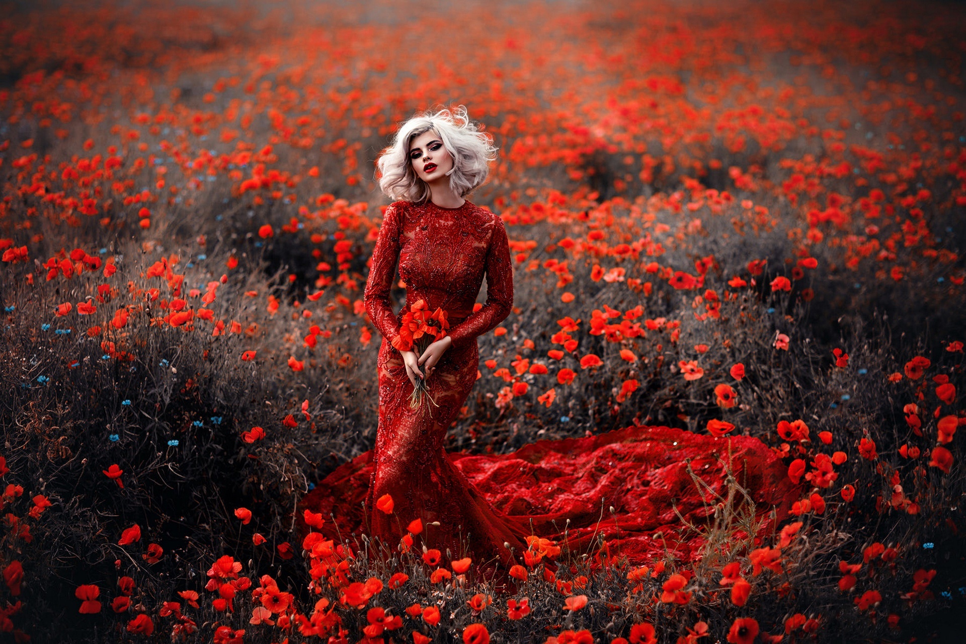 Woman in red dress in poppy field HD Wallpaper