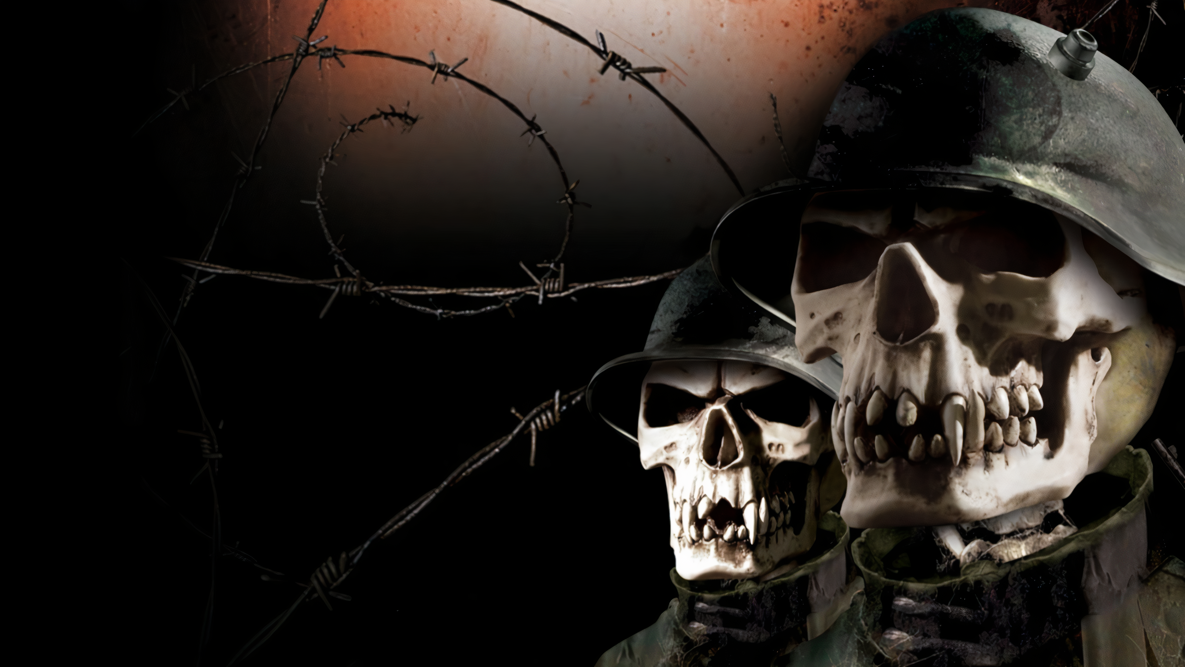 Two skeletons in military helmets and barbed wire HD Wallpaper