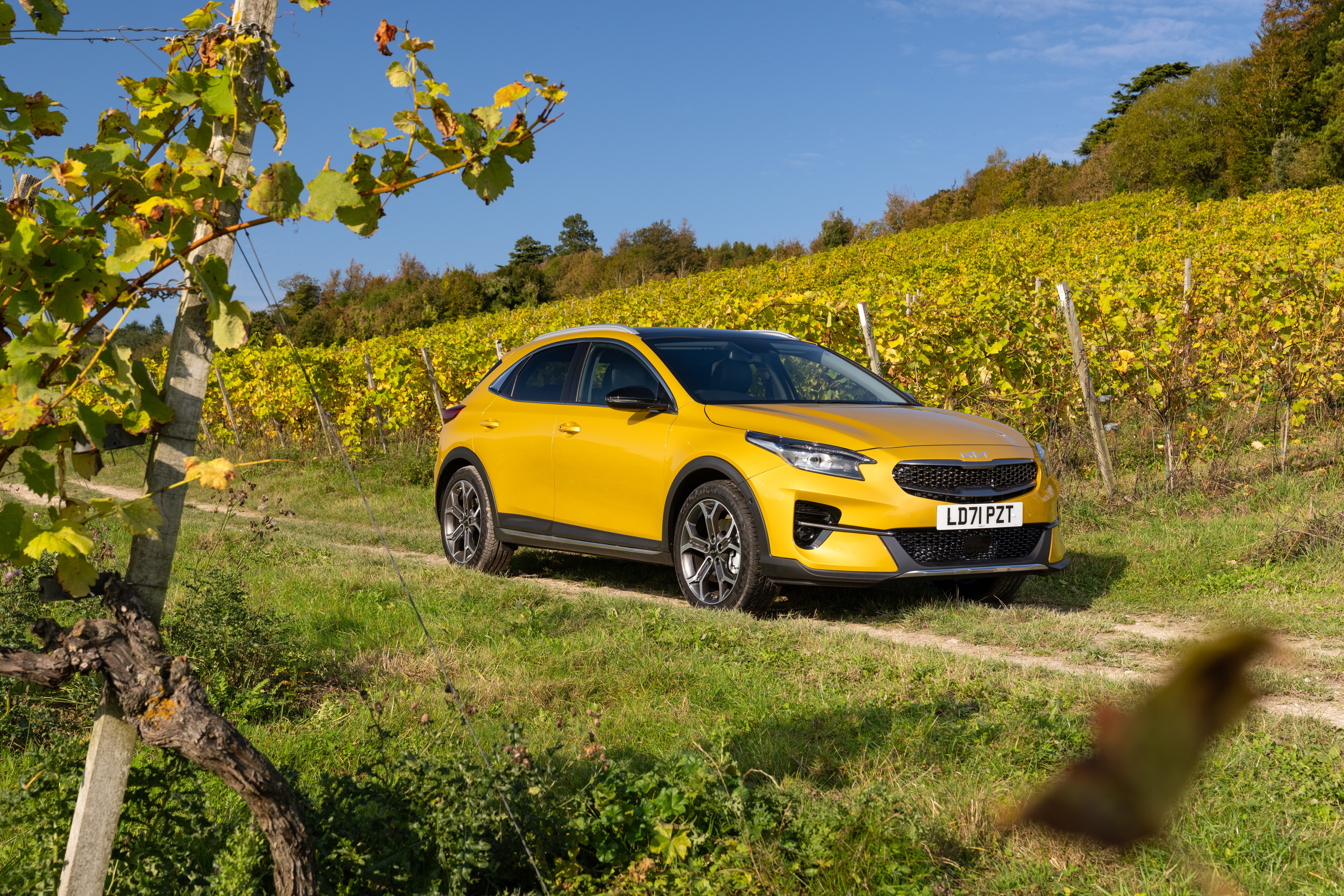 Yellow Kia XCeed parked in a vineyard HD Wallpaper