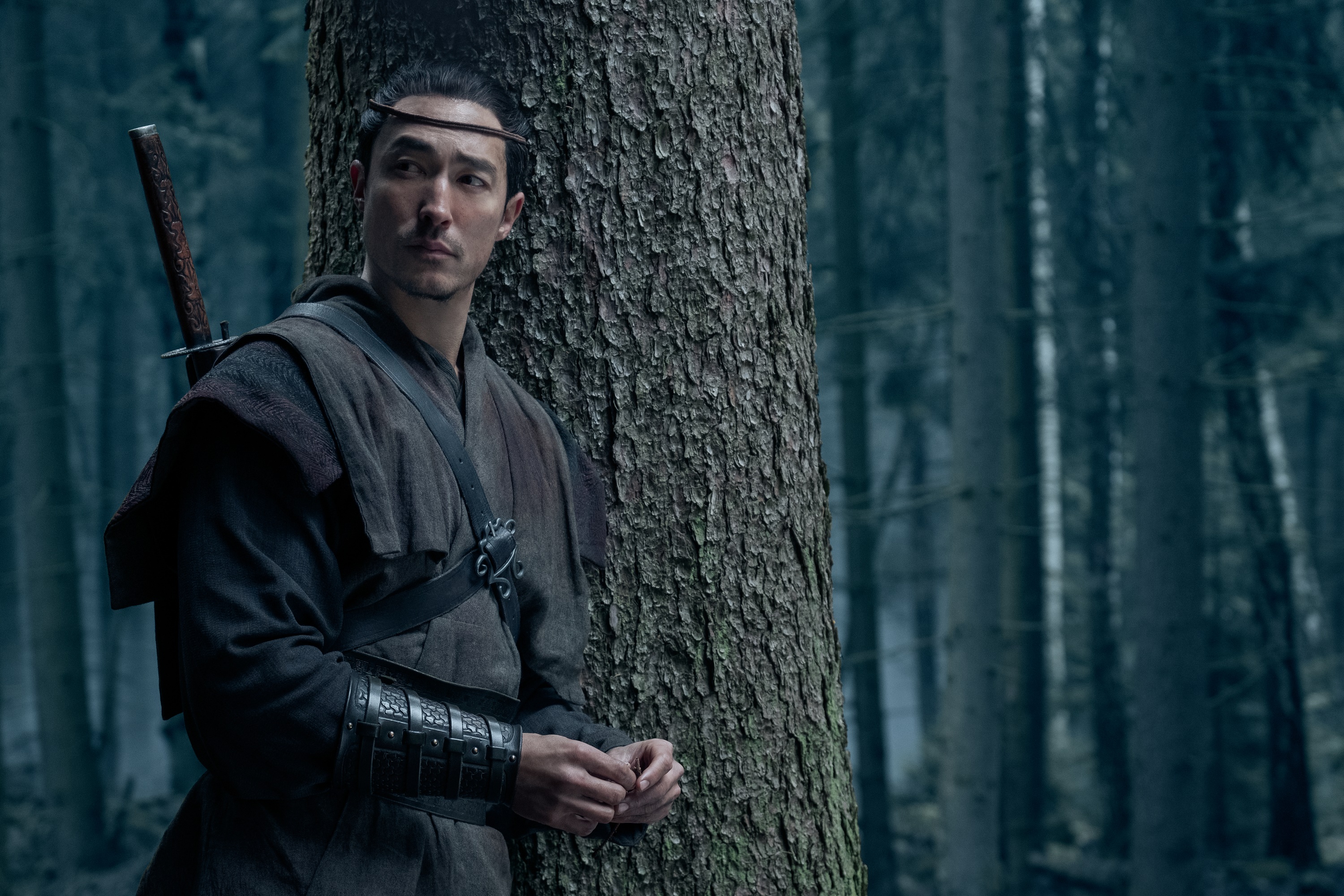 Lan Mandragoran from The Wheel Of Time HD Wallpaper